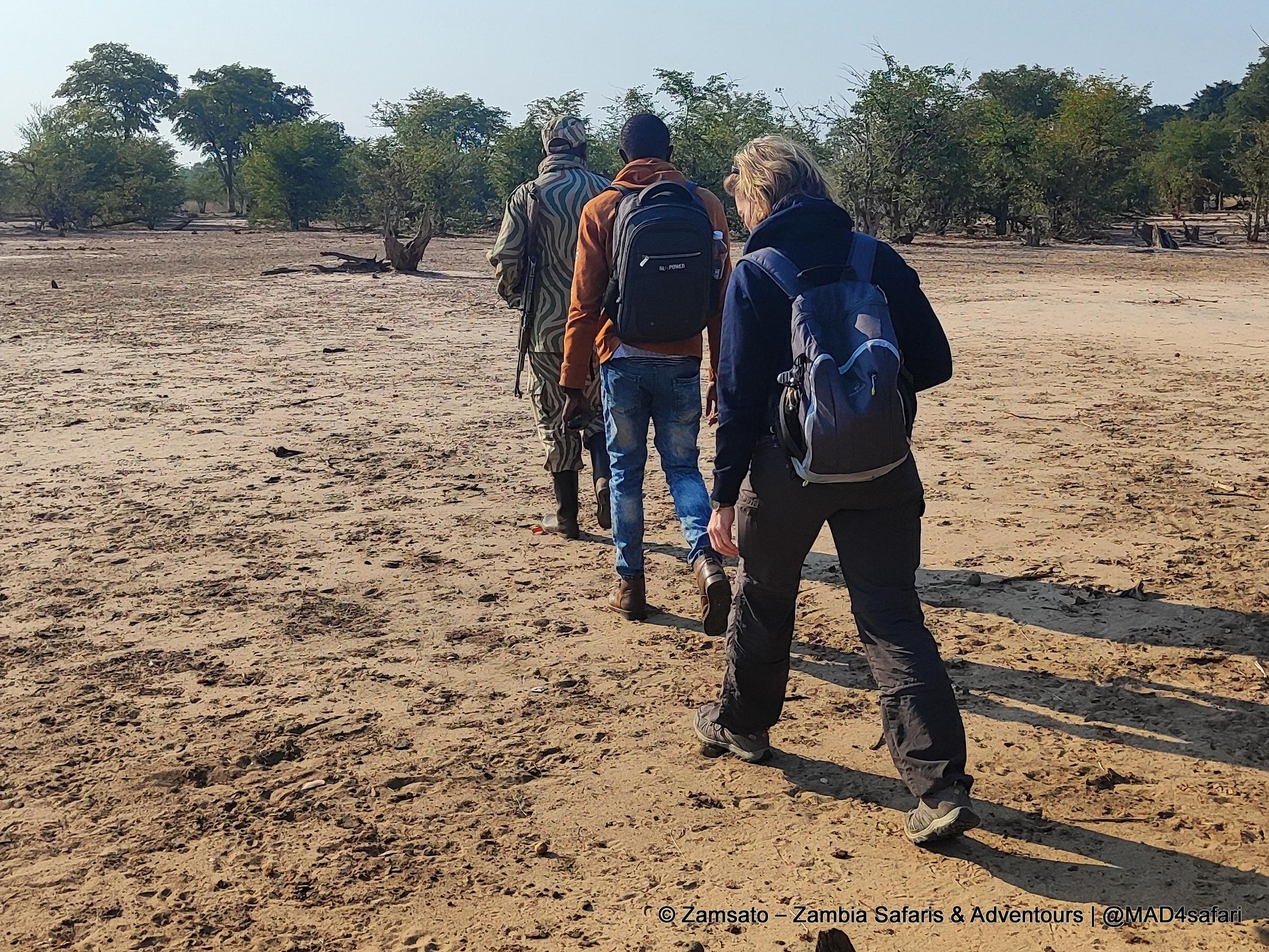 Rhino Tracking Safari in Mosi-oa-Tunya National Park