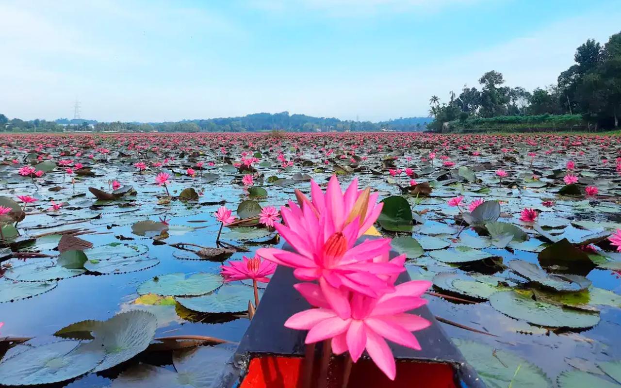 Malarikkal Backwater Sunrise Excursion from Kochi