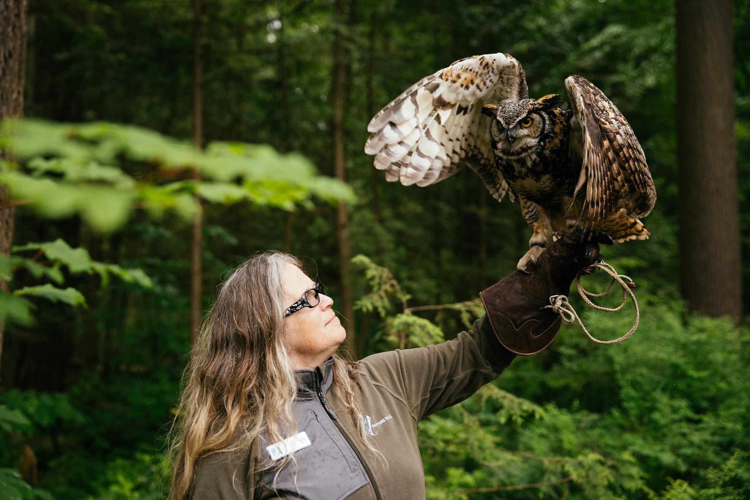 Vancouver North Shore & Capilano Canyon Lights Explorer