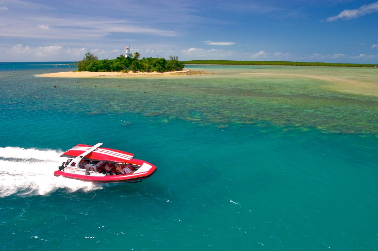 Low Isles Reef Snorkeling Adventure