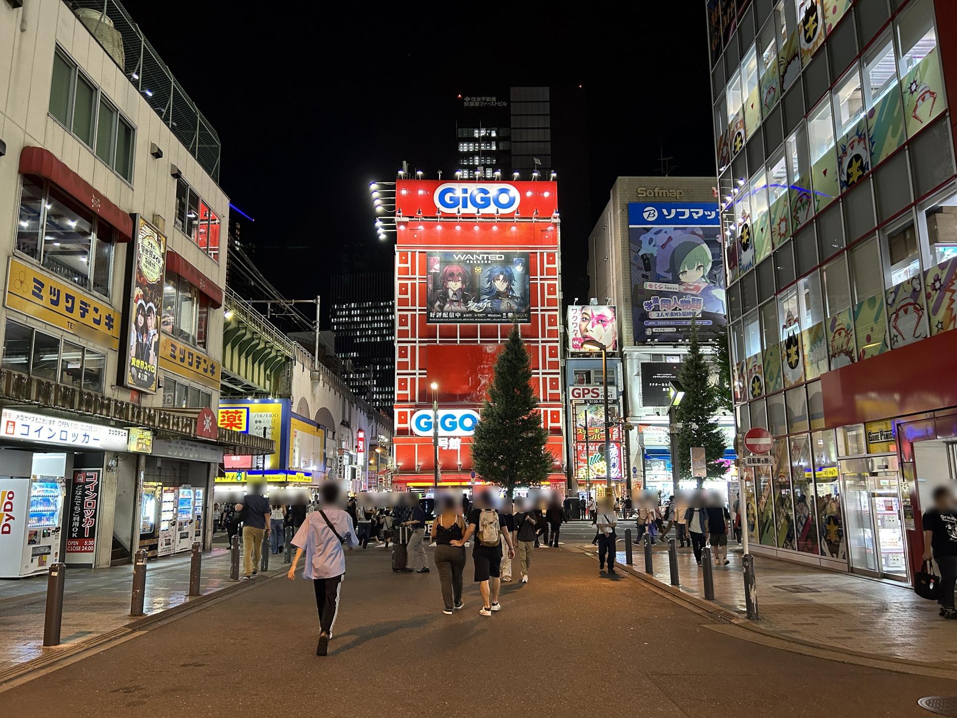 Private Akihabara Anime & Gaming Tour