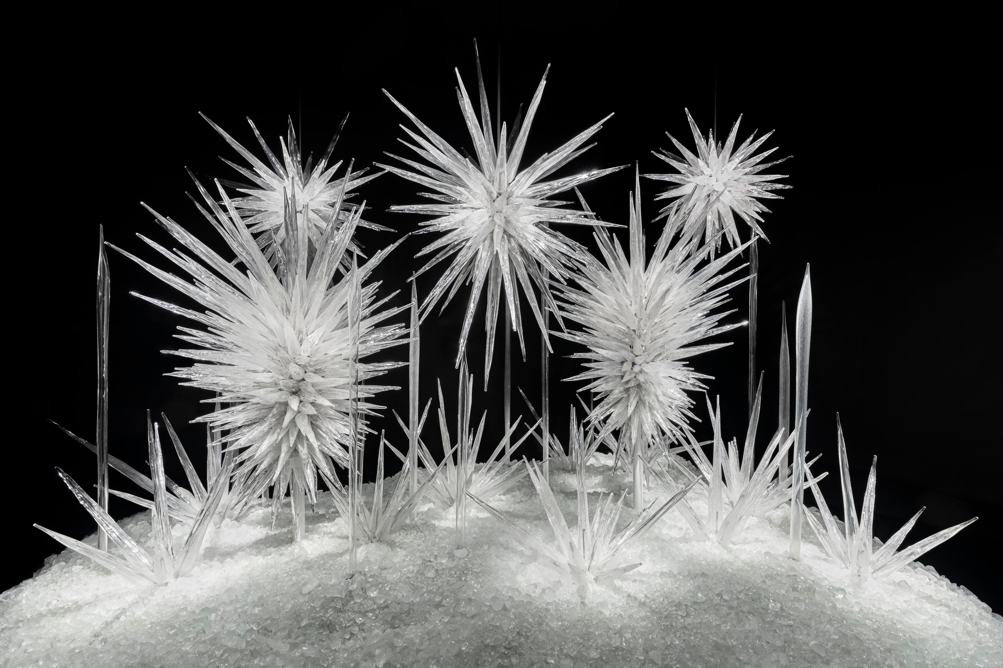Chihuly Garden and Glass Seattle tickets — image 16