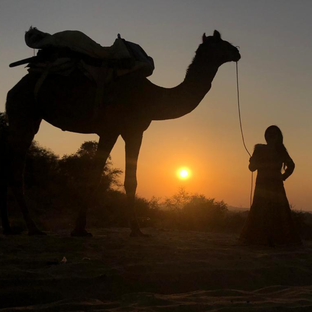 Jodhpur Desert Expedition: Osian Dunes, Camel Ride & Cultural Night