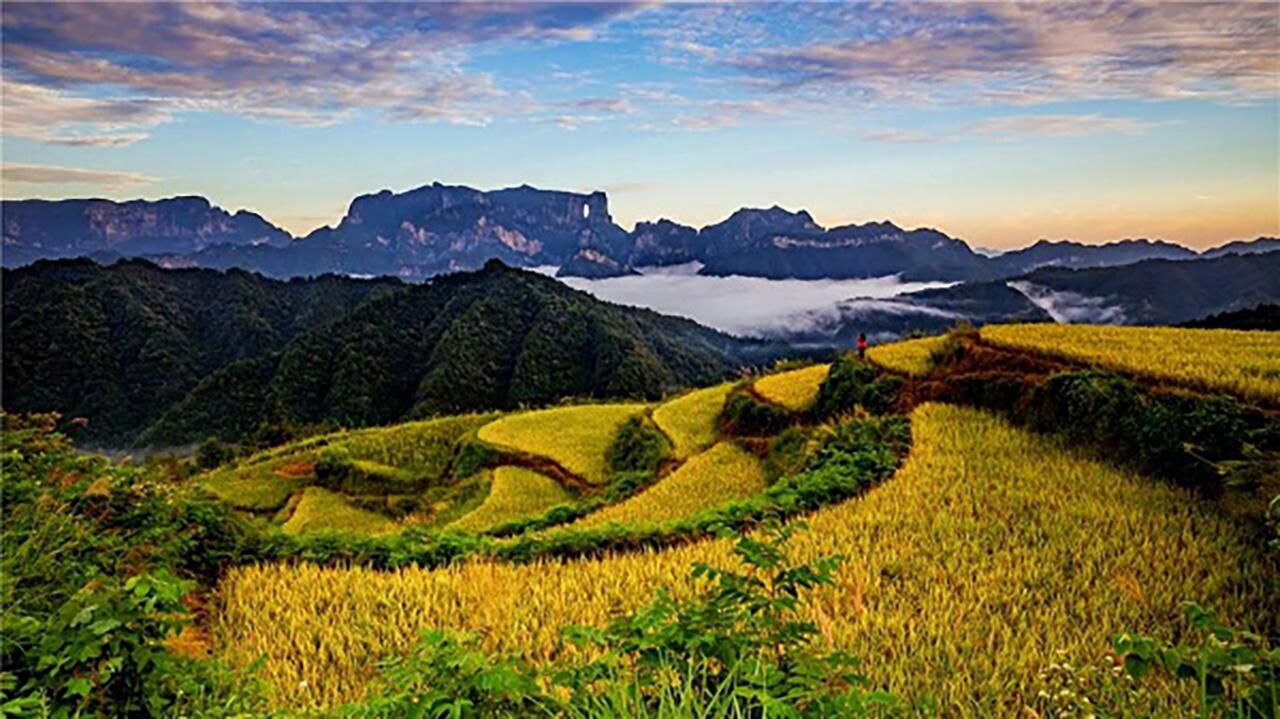 Zhangjiajie 3-Day Private Tour: Avatar Peaks, Glass Bridge & Tianmen Mountain