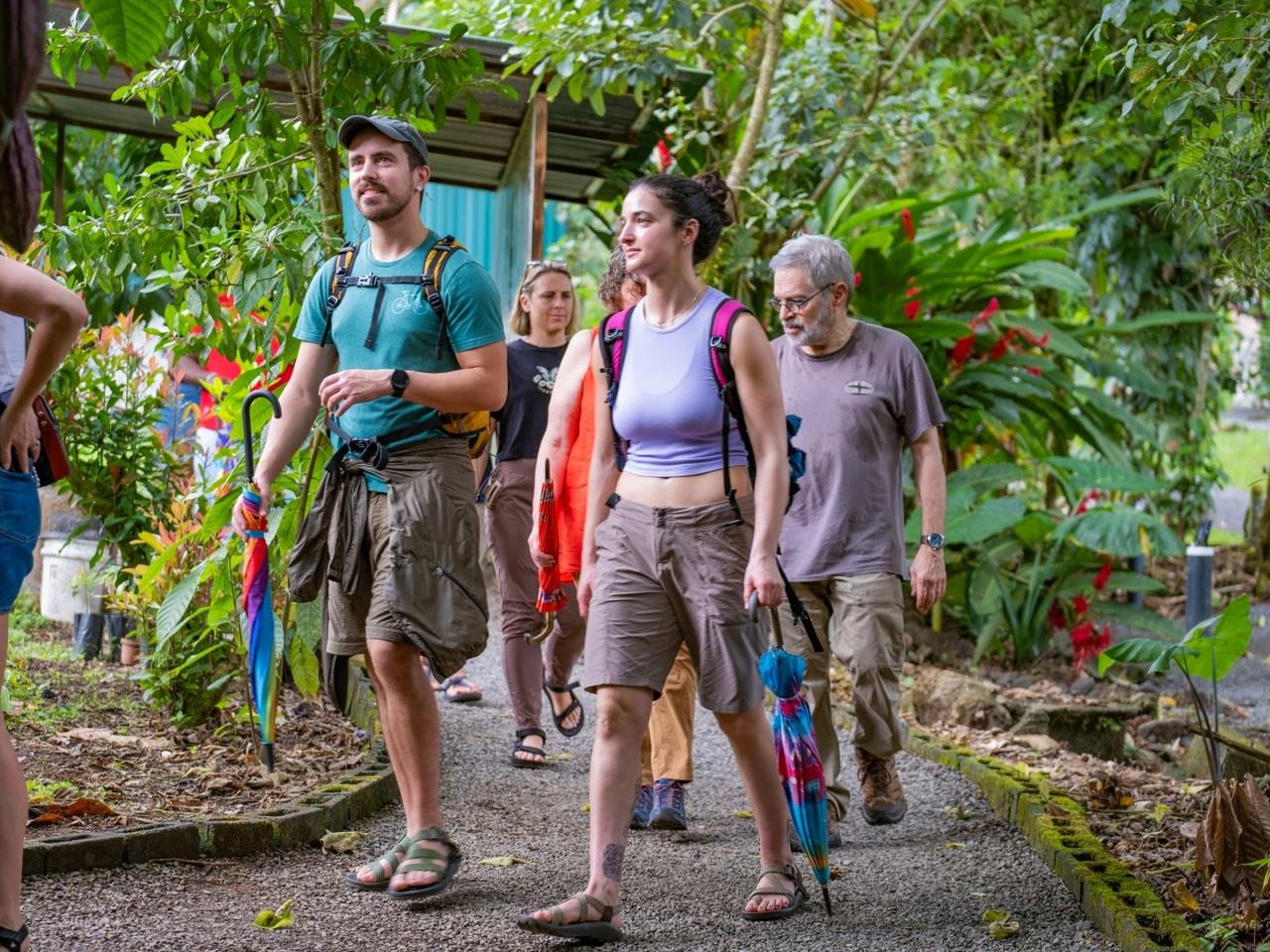 La Fortuna: North Fields Coffee & Chocolate Farm Tour