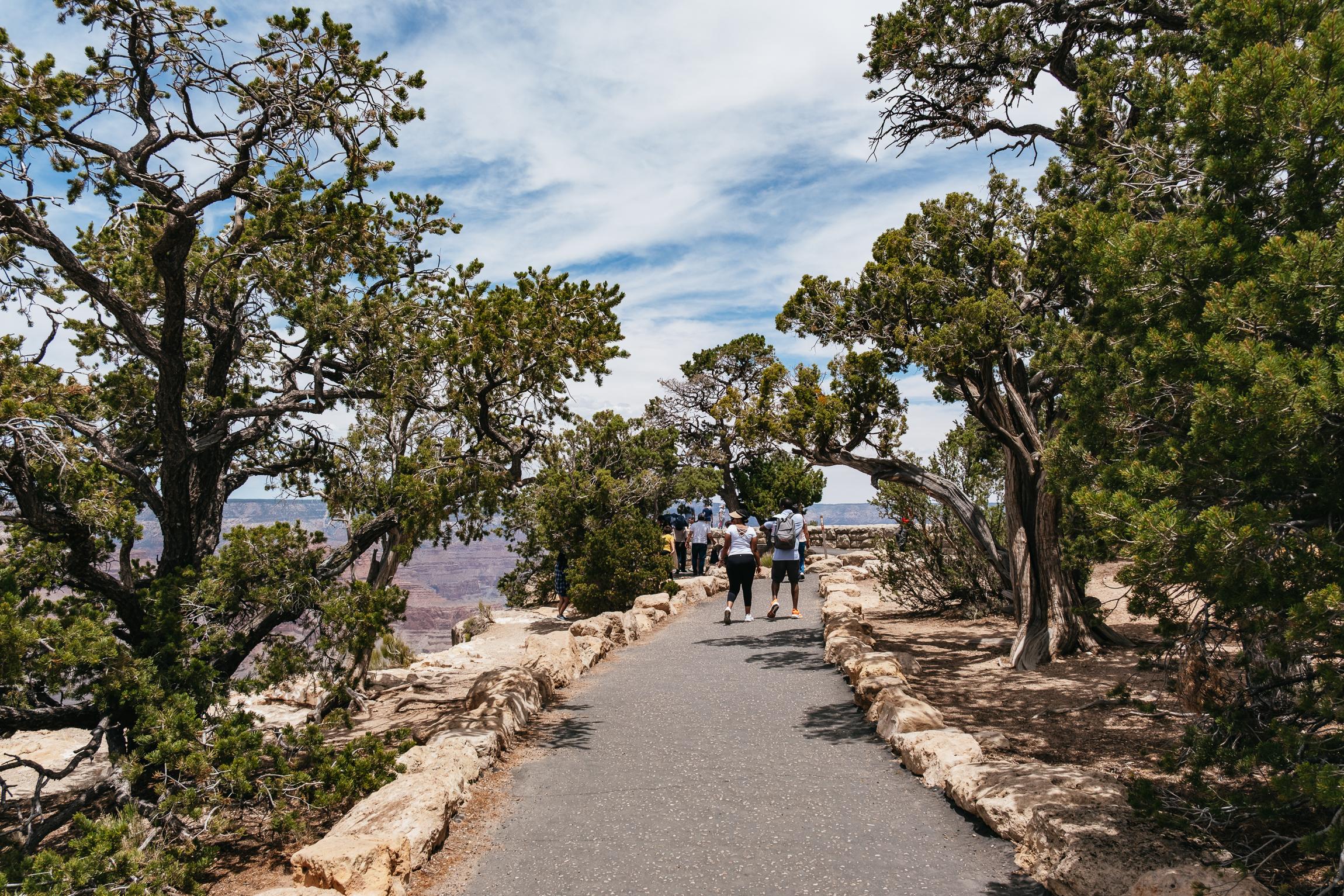 Grand Canyon South Rim Full-Day Tour from Las Vegas with Lunch