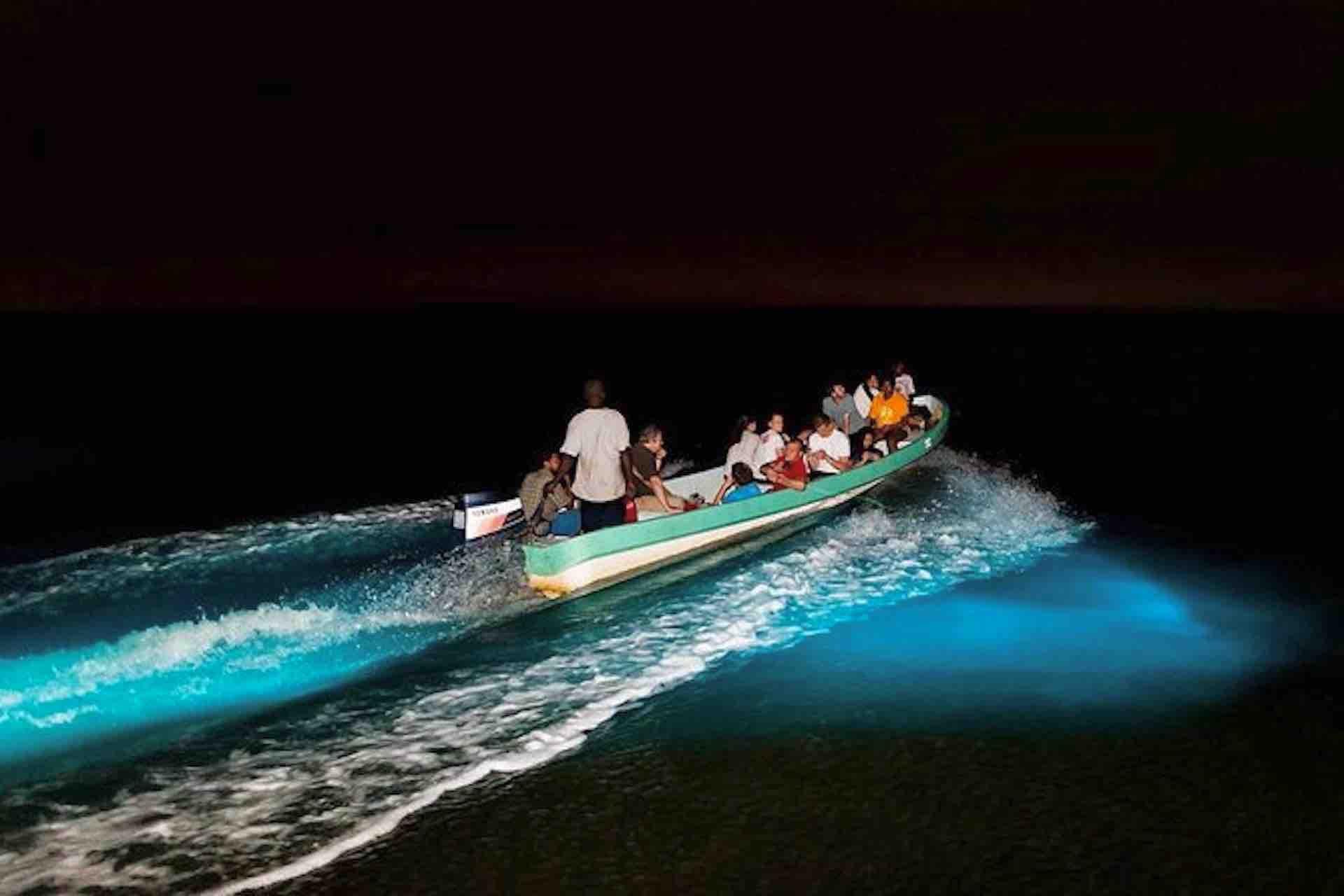 Night Bioluminescence Kayak & Swim Experience