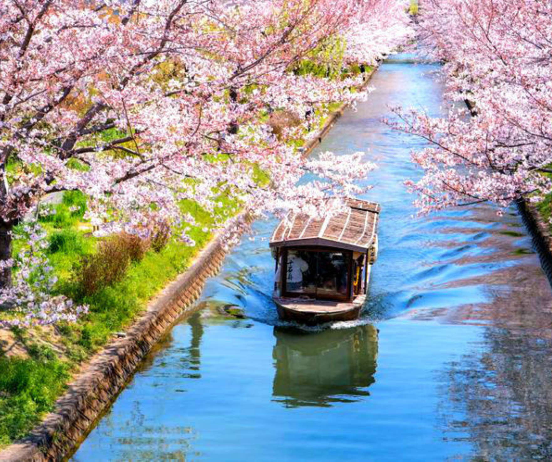 Kyoto Private Full-Day Tour with Luxury Vehicle & Expert Guide