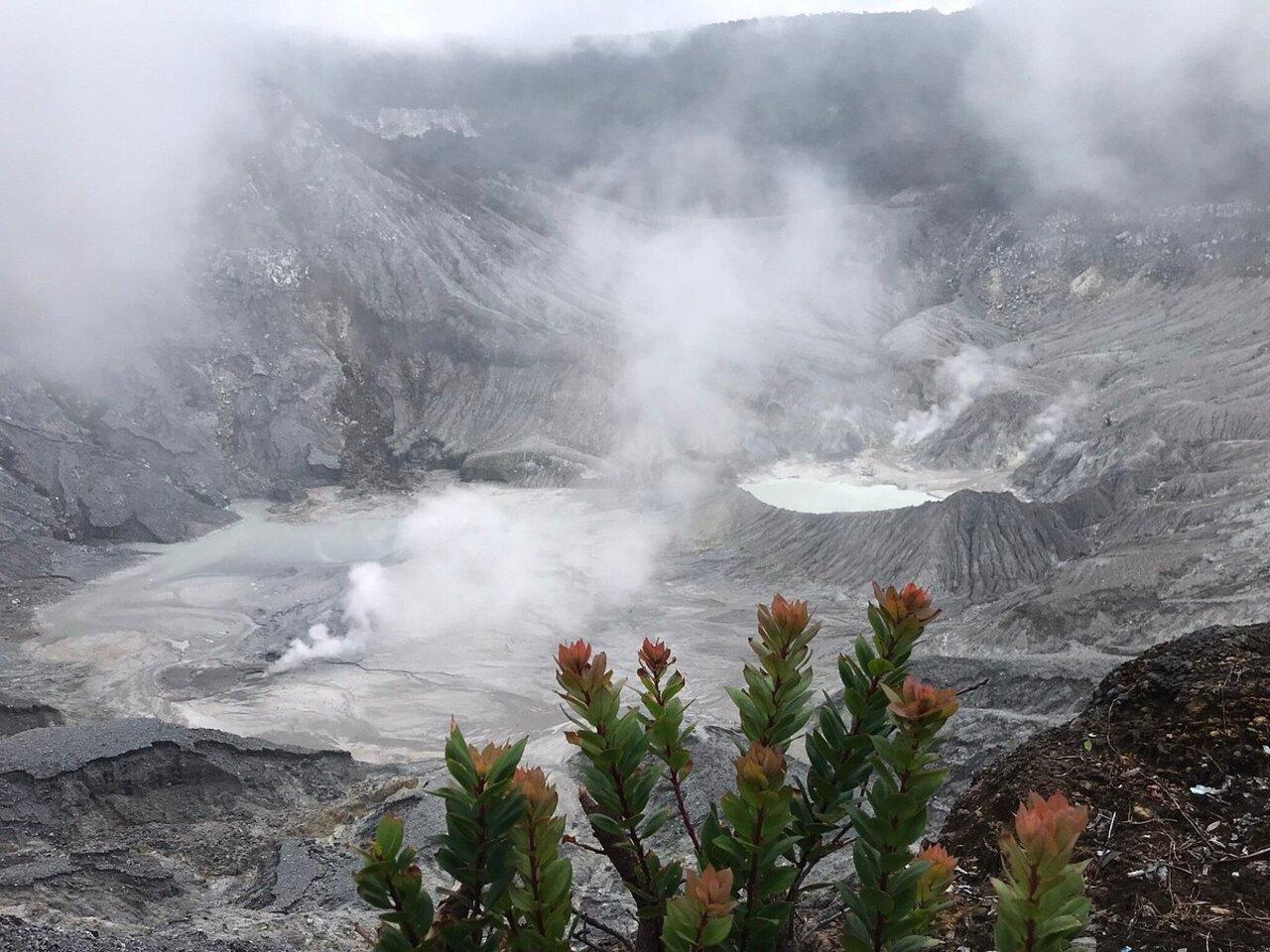 Full-Day Volcano, Tea Plantation & Hot Spring Adventure from Jakarta