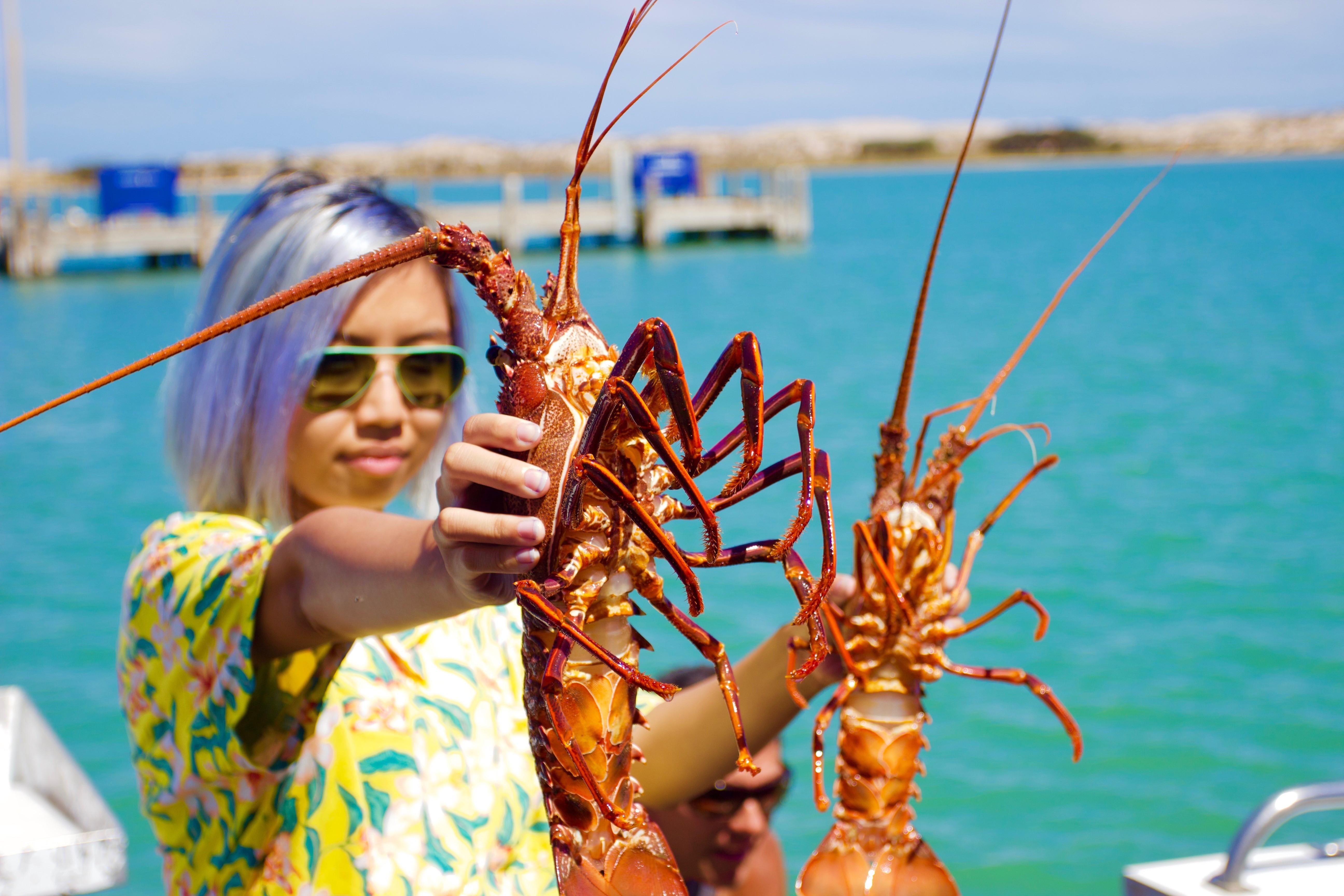 Kalbarri Rock Lobster Fishing Experience