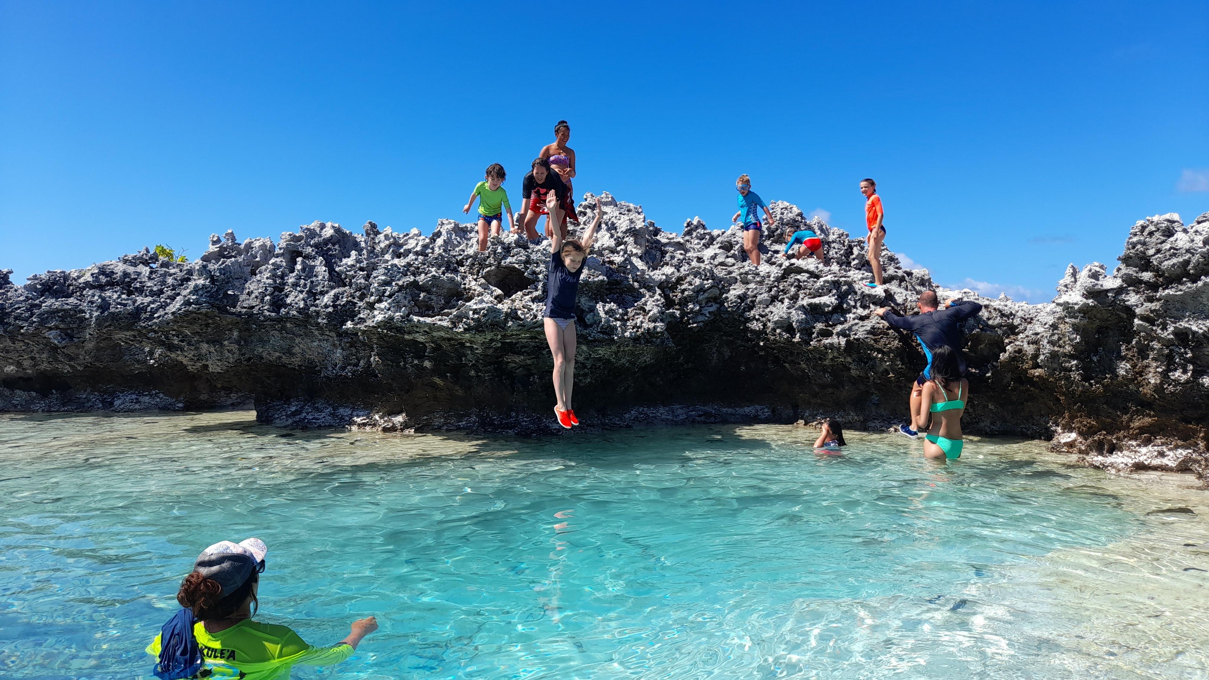 Île aux Récifs Full-Day Adventure with Dolphin Encounter