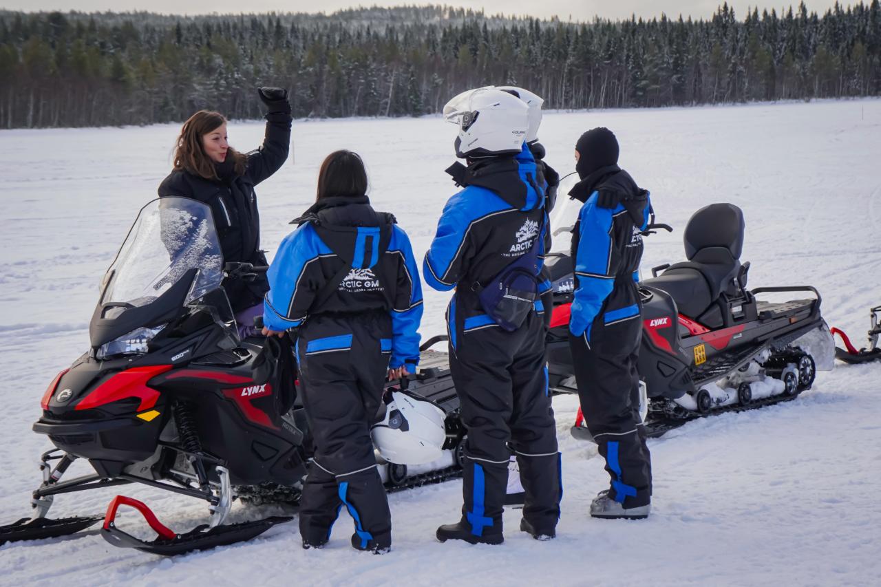 Rovaniemi Arctic Snowmobile Safari on Private Forest Trails