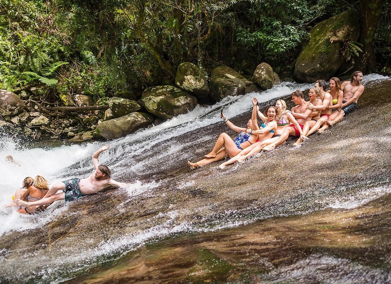 Atherton Tablelands Waterfalls & Rainforest Adventure