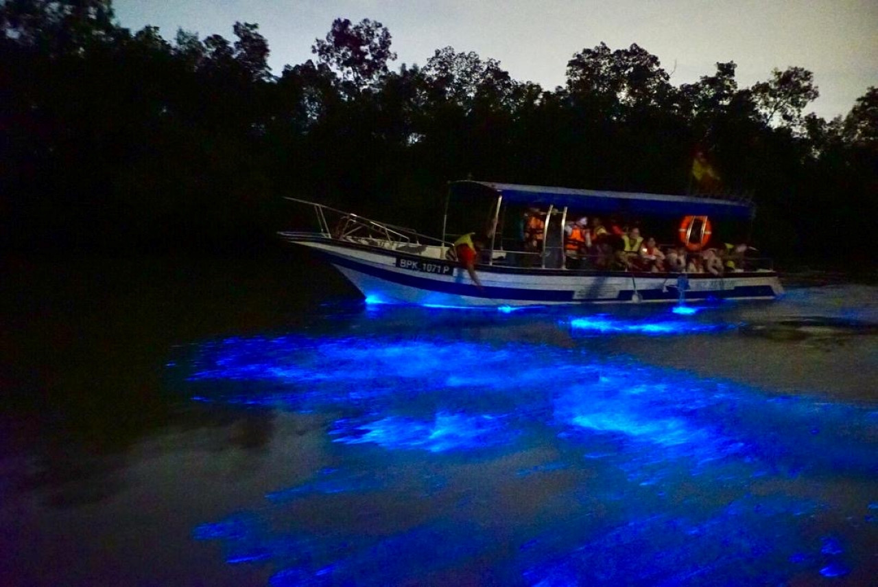 Private Fireflies & Kuala Selangor Evening Tour