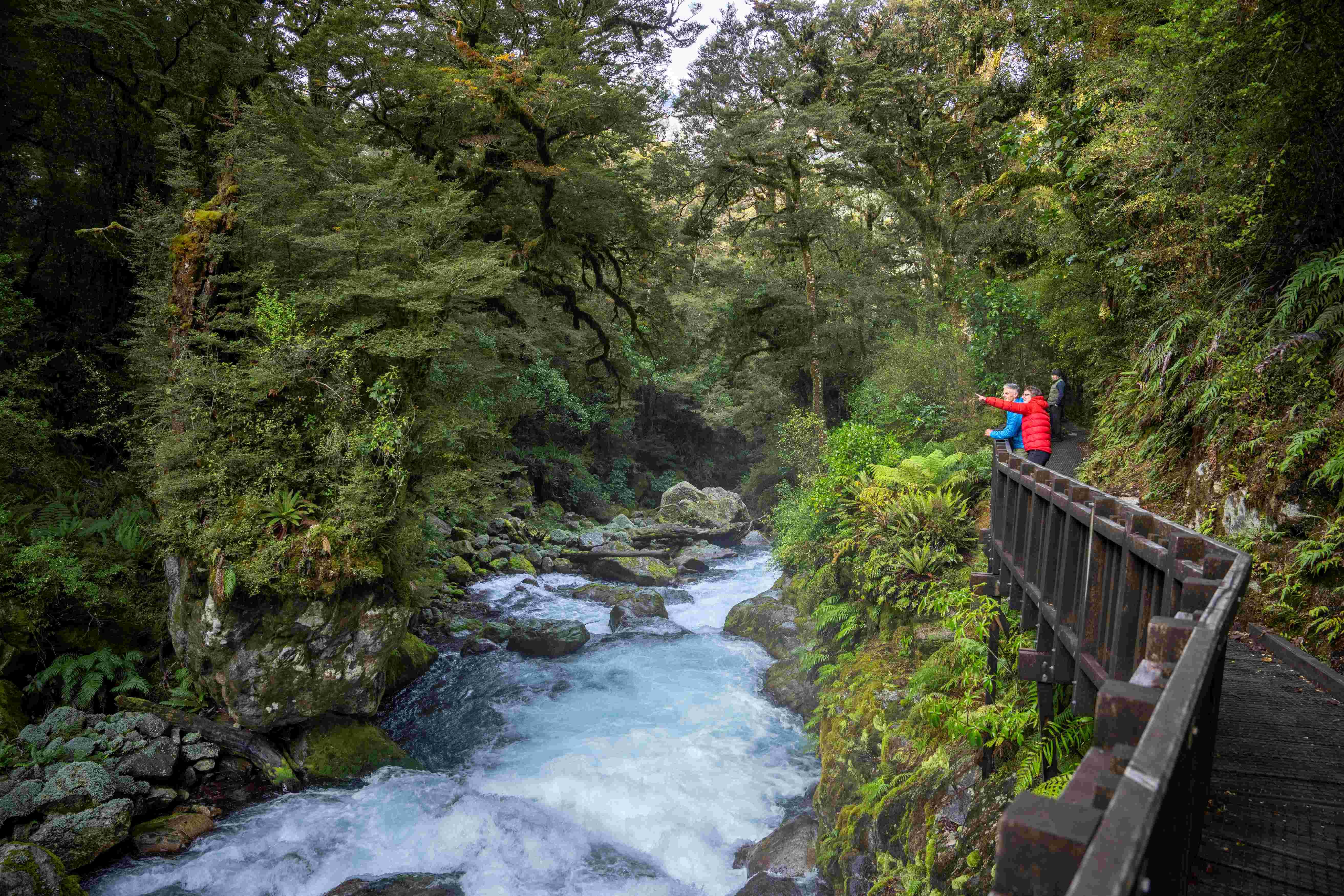 Milford Sound tour photo — image 8