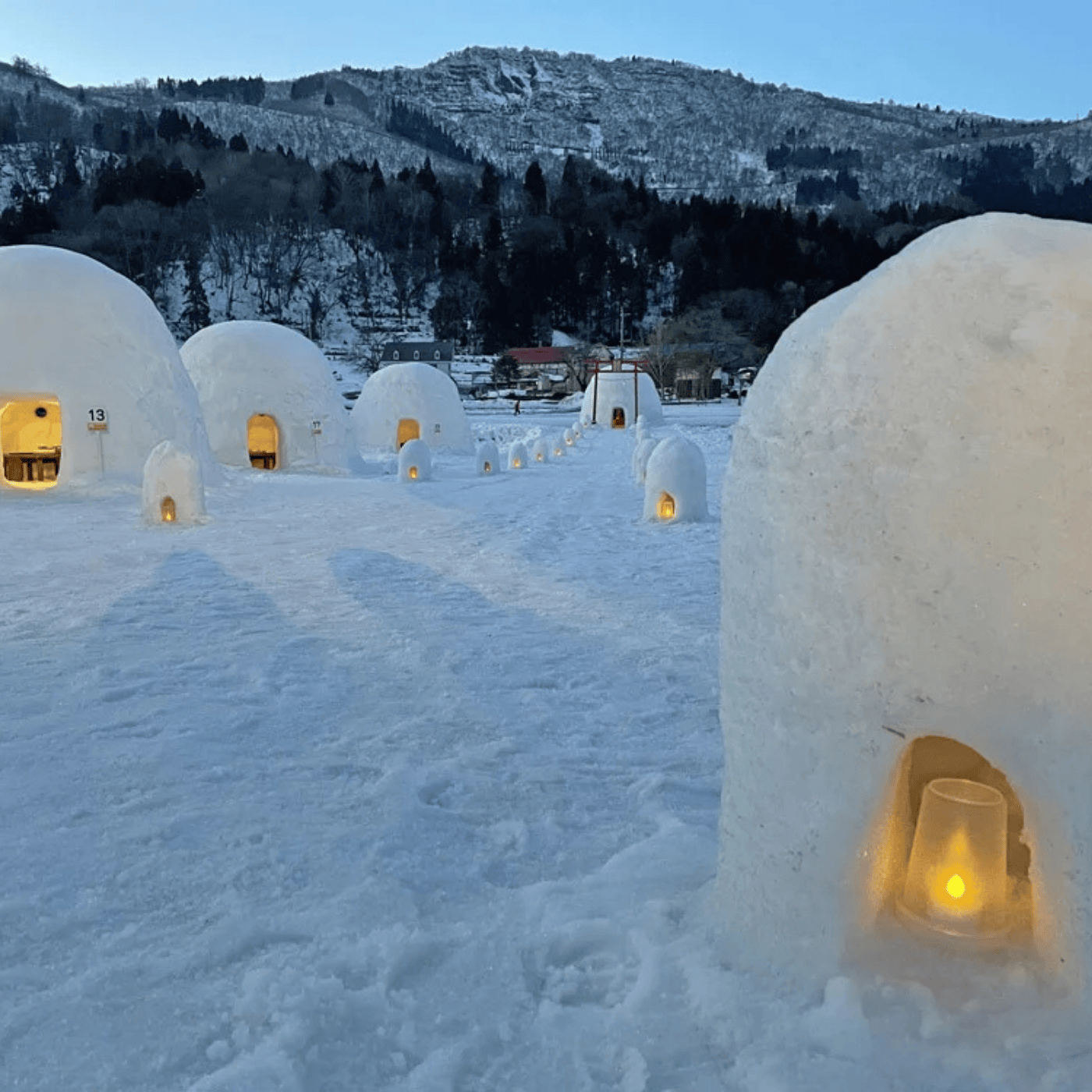 Private Nagano Day Tour: Snow Monkeys, Zenko-ji & Hot Springs from Tokyo