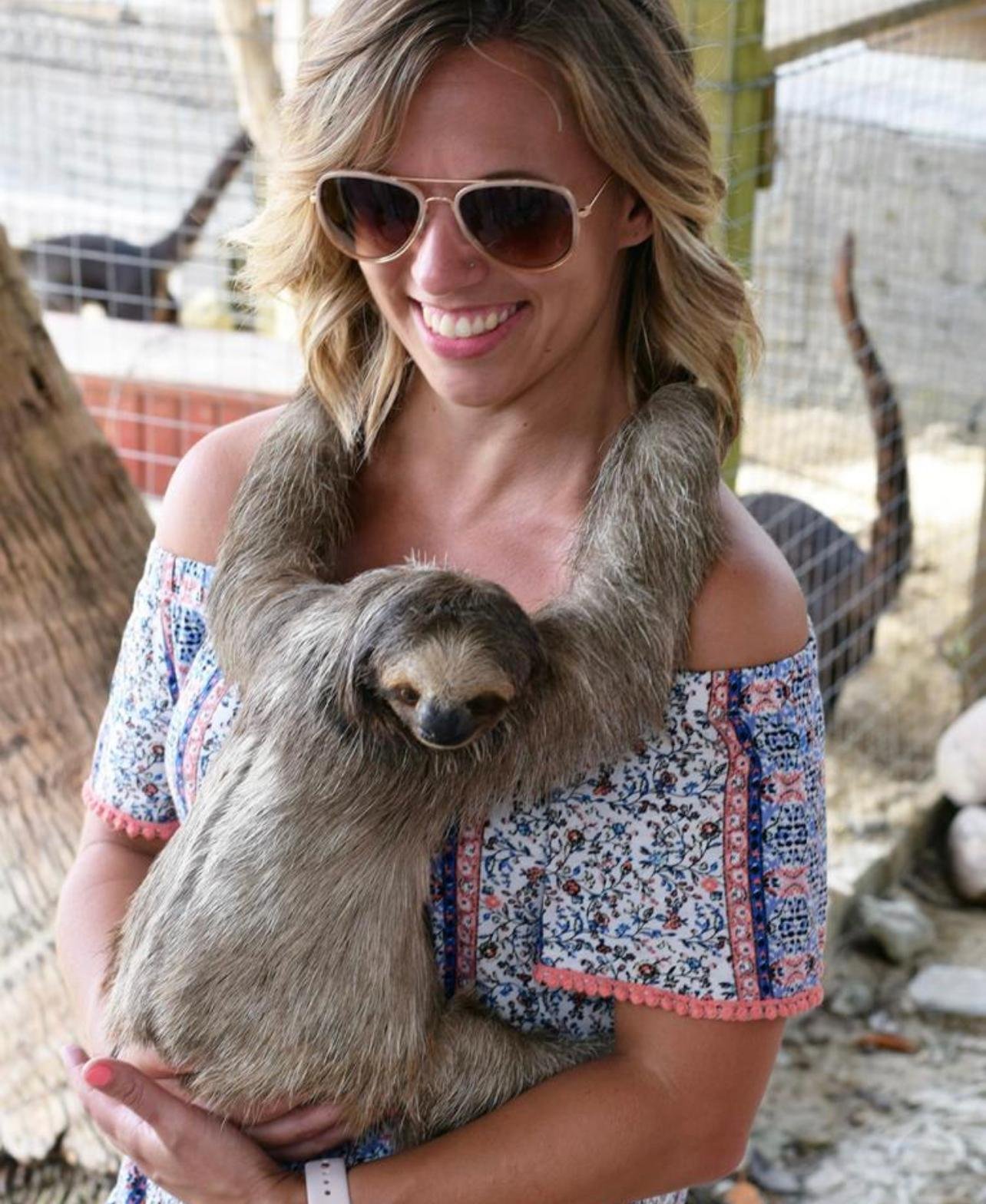 Roatan Sloth Encounter & Island Highlights Tour