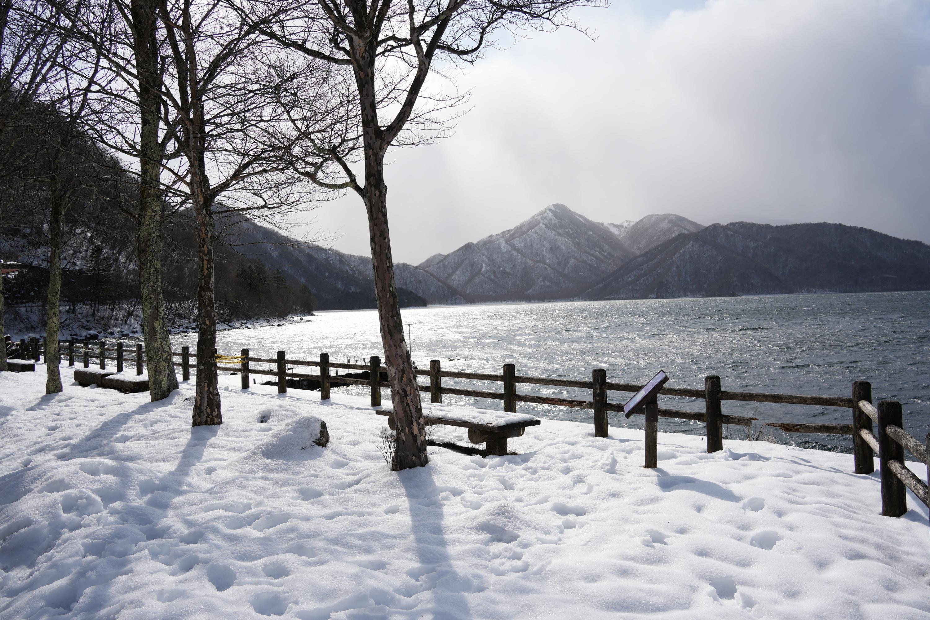 Nikko Day Trip: Toshogu Shrine, Kegon Falls & Lake Chuzenji from Tokyo