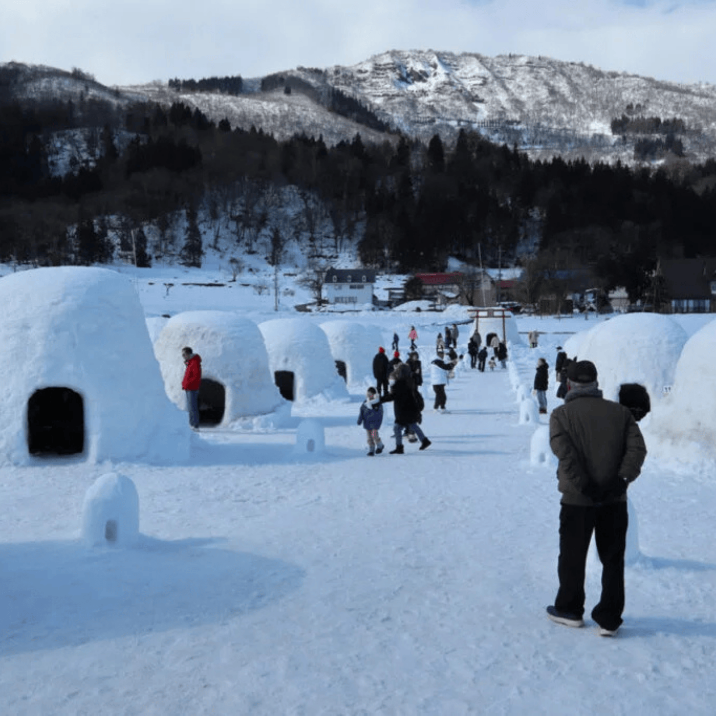 Private Nagano Day Tour: Snow Monkeys, Zenko-ji & Hot Springs from Tokyo