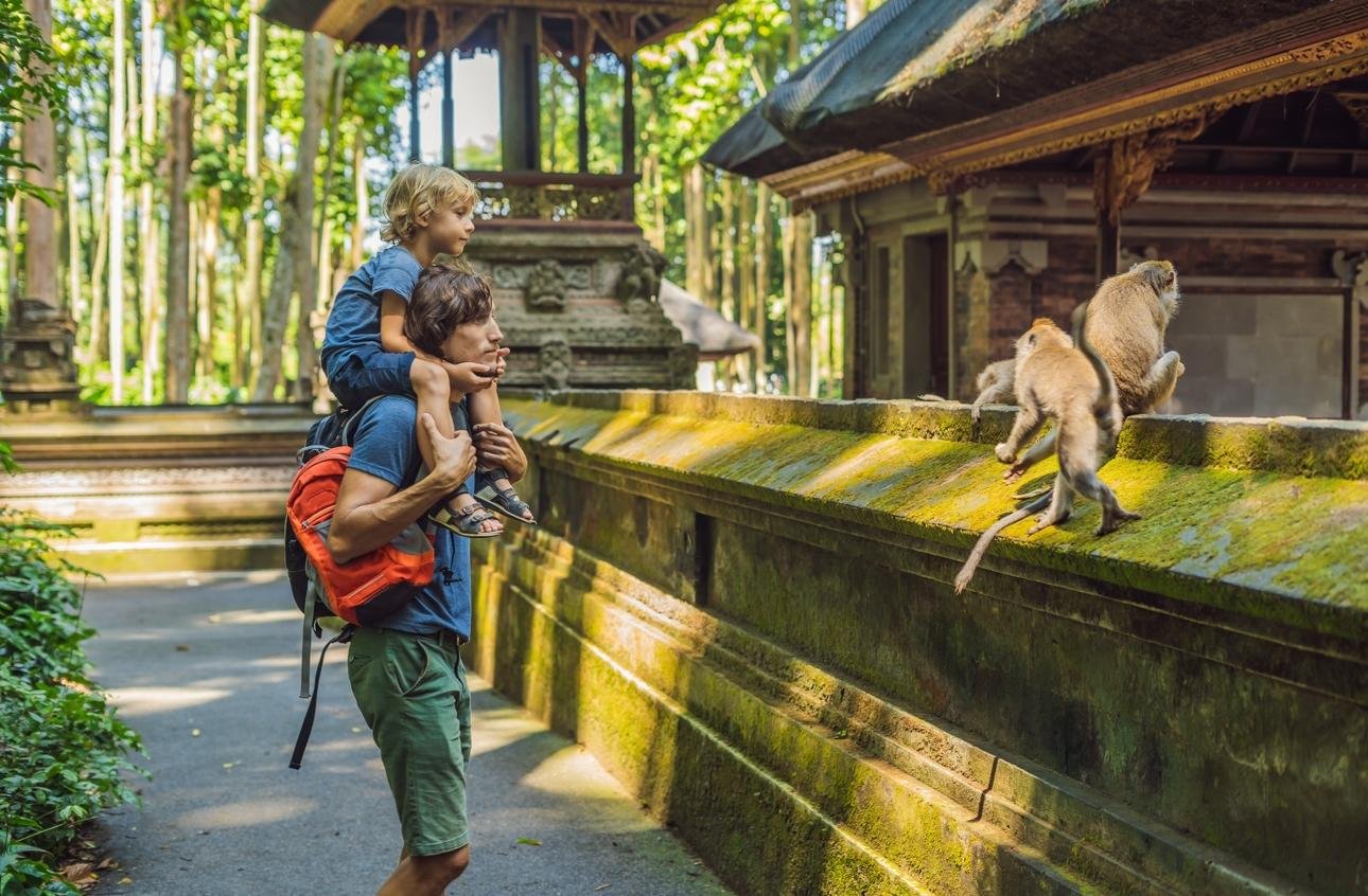 Ubud Highlights: Full-Day All-Inclusive Tour with Optional Lunch