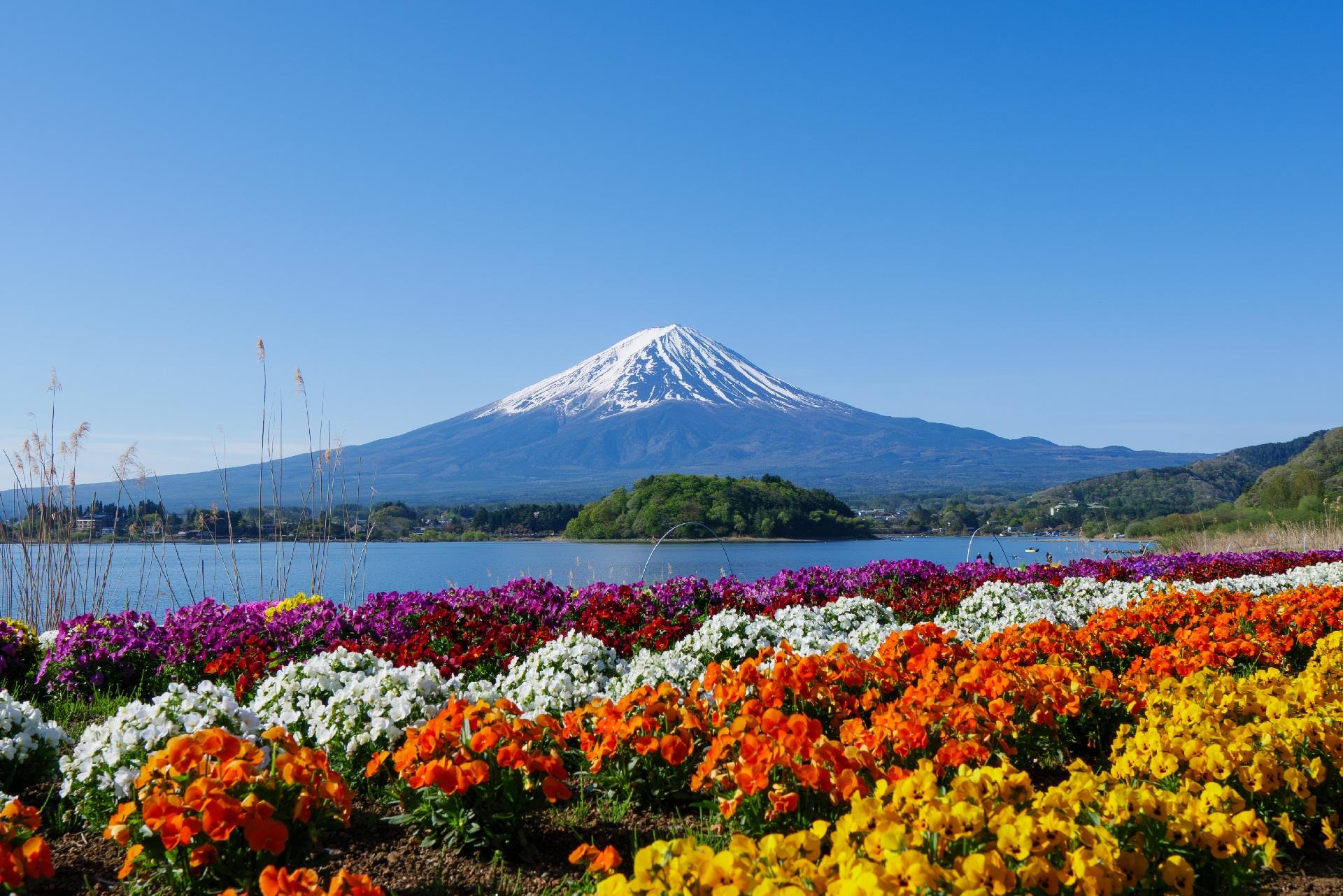 Tokyo Day Trip: Mt. Fuji, Chureito Pagoda & Oshino Hakkai
