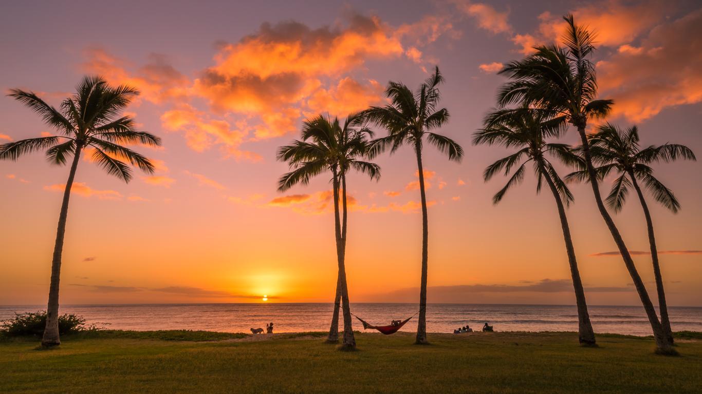 Honolulu Private Airport Transfer: HNL to/from City Center