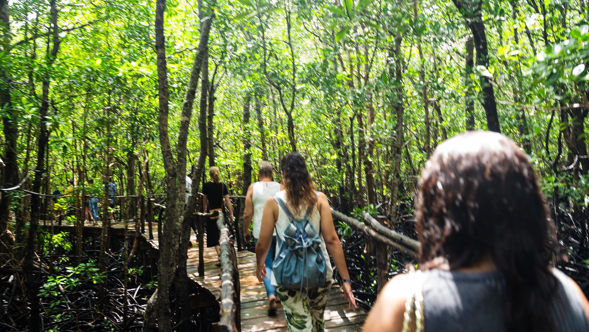 Zanzibar Hidden Gems: Secret Beach, Kuza Cave & Jozani Forest