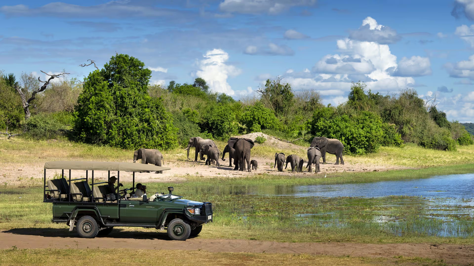 Pilanesberg Safari Day Trip from Johannesburg with Lunch