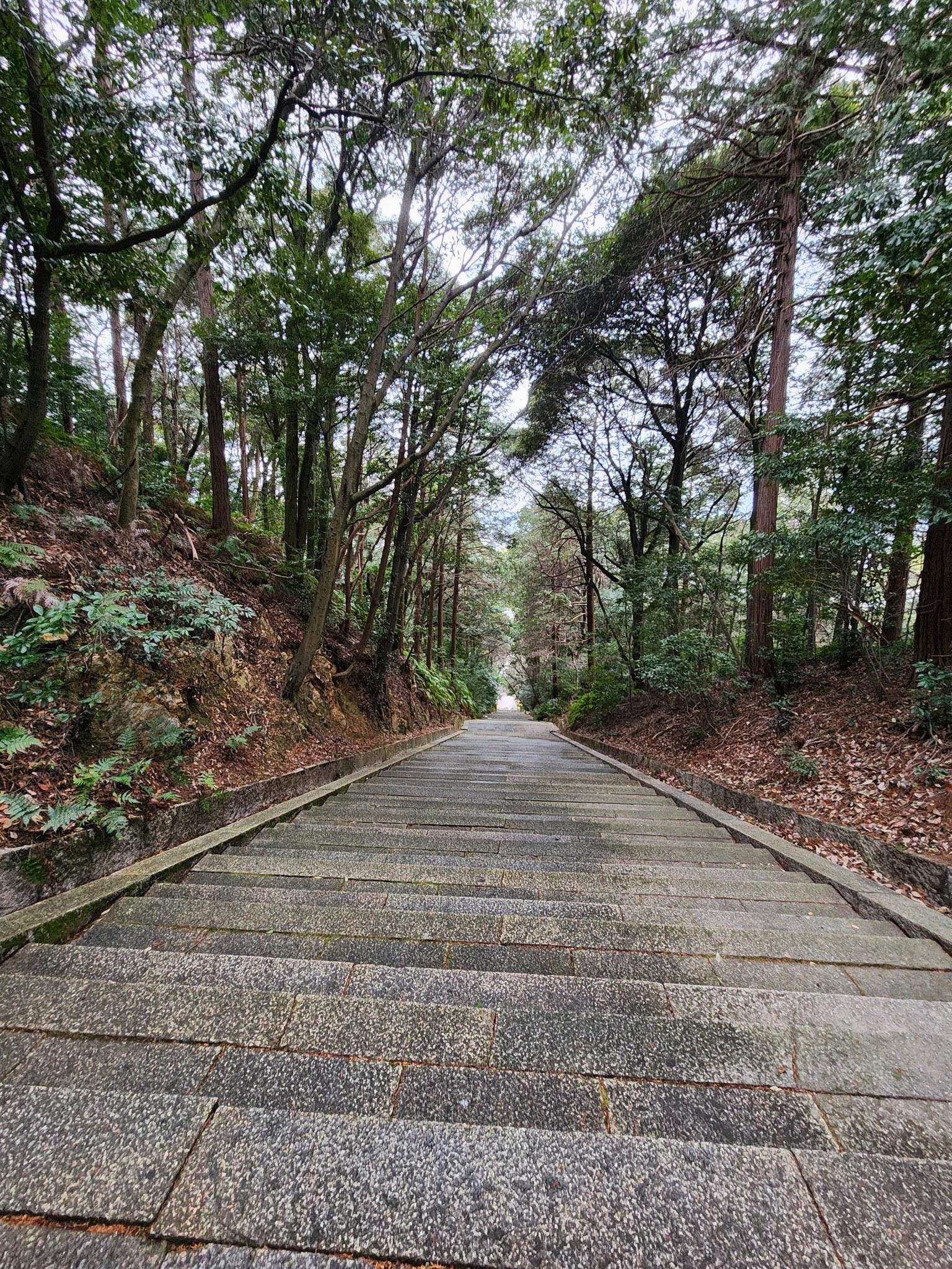 Kyoto Private Samurai History & Mountain Hike