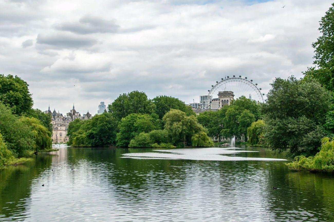 Westminster Black Cab Tour