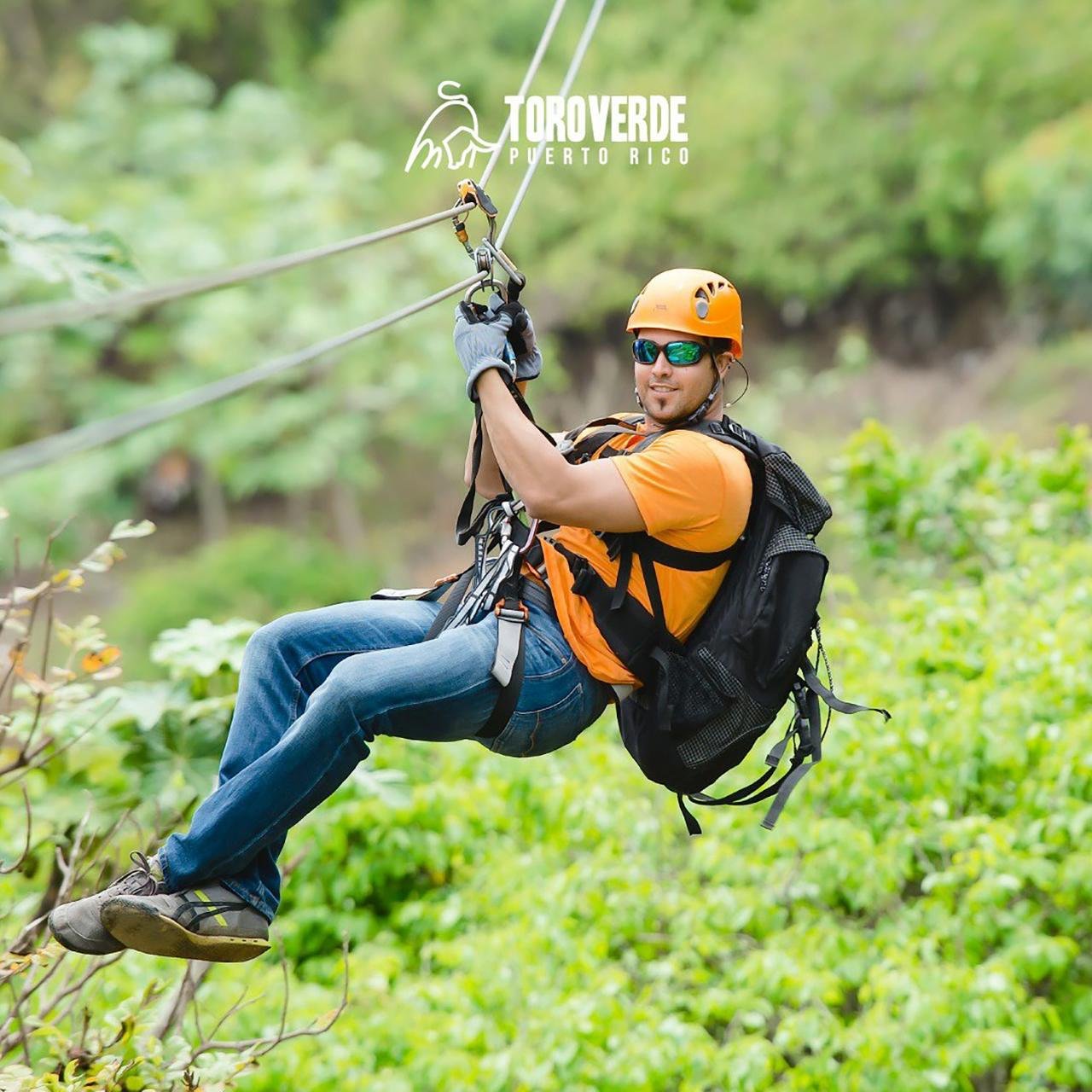 Toro Verde Zipline & The Monster Adventure with San Juan Transit