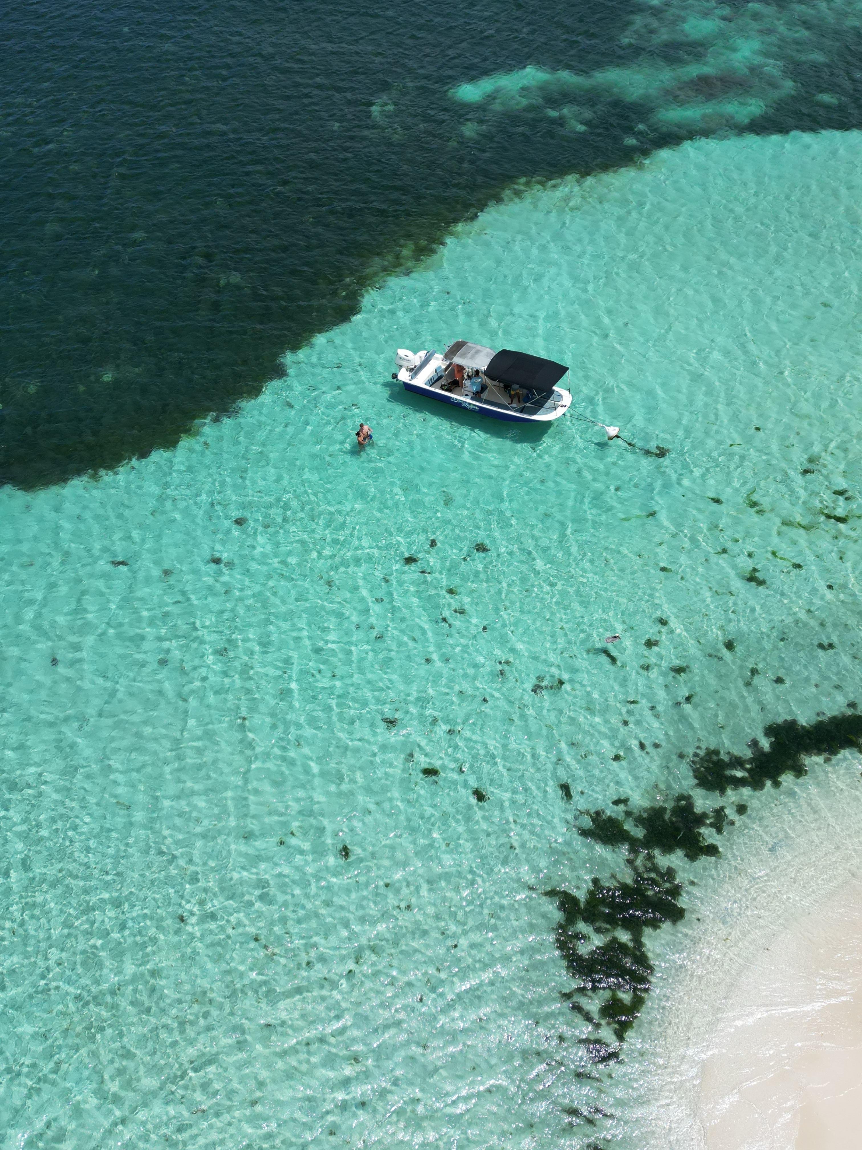 Mangrove & Islet Boat Adventure with Snorkeling