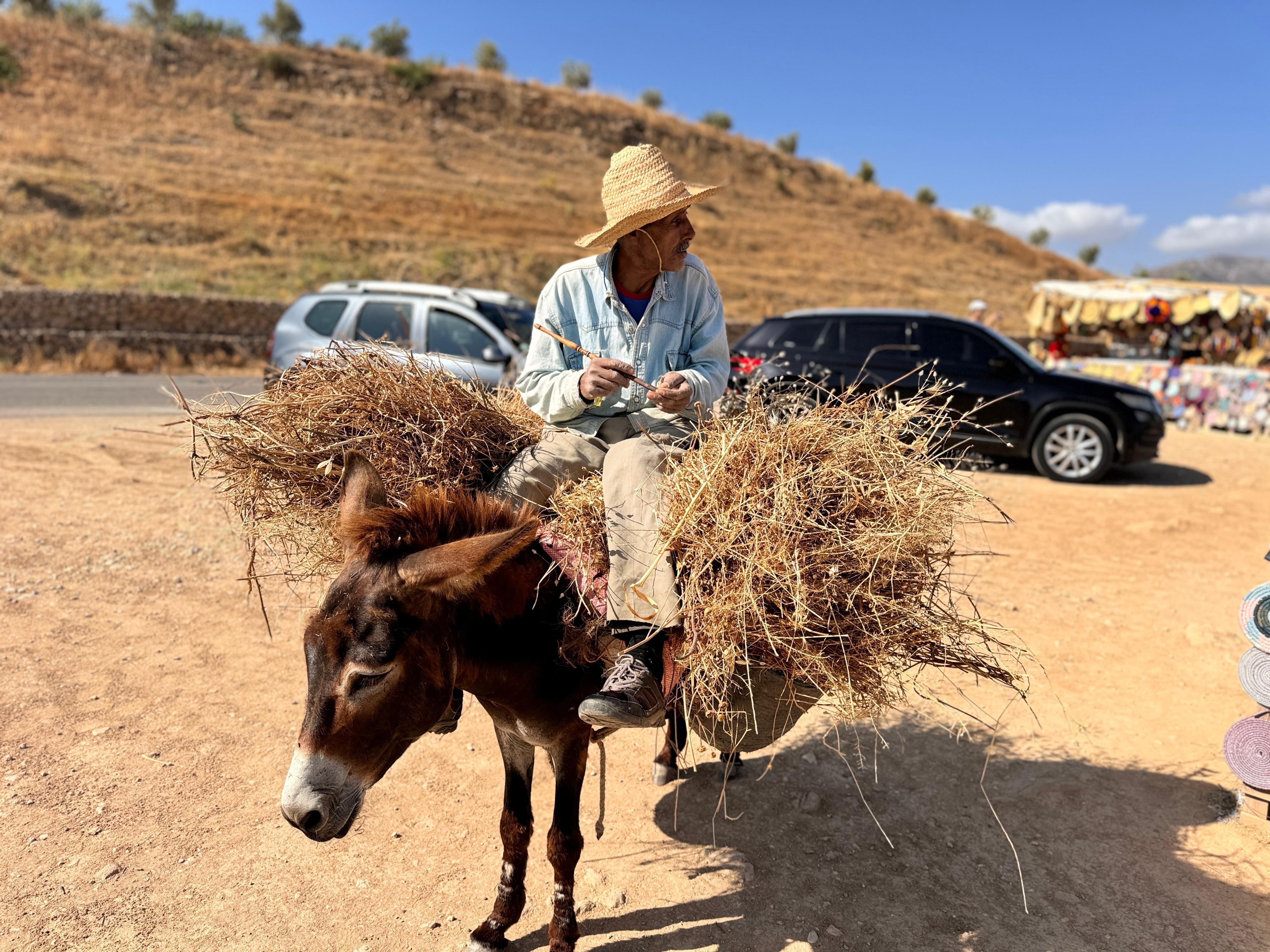 10-Day Private Luxury Moroccan Desert & City Discovery