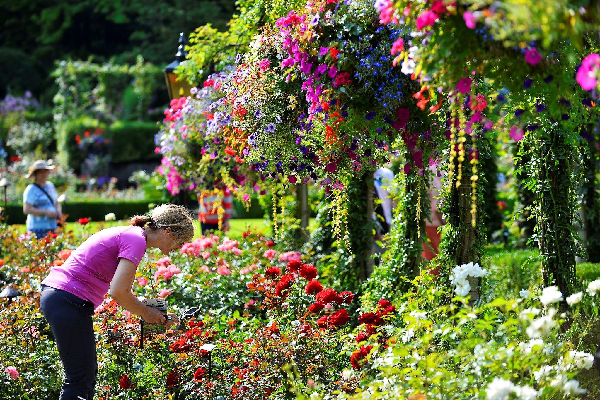 Vancouver: Victoria, Butchart Gardens & Gulf Islands Cruise