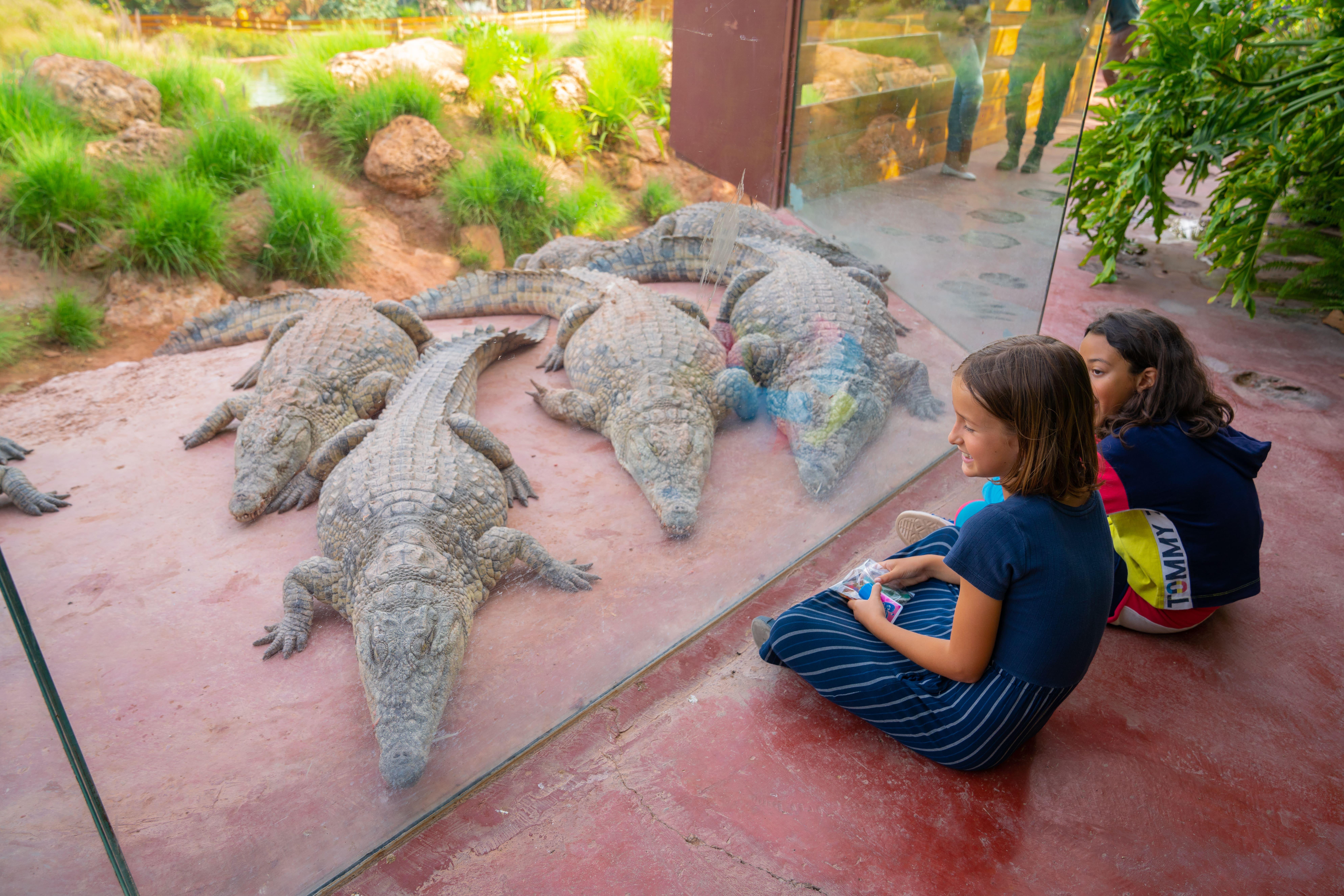Agadir: Crocoparc Skip-the-Line Admission