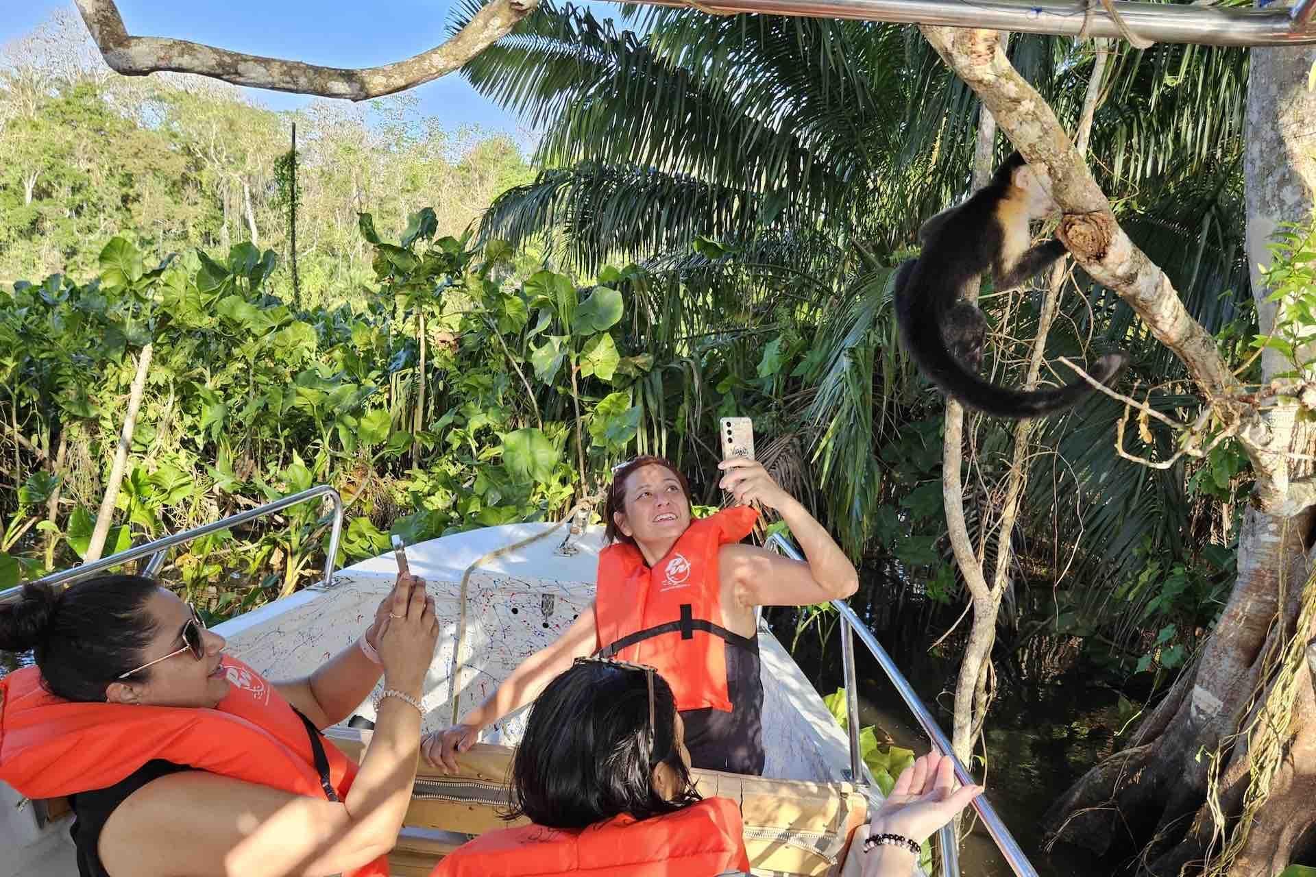 Panama Canal, Monkey Island & Sloth Sanctuary Expedition