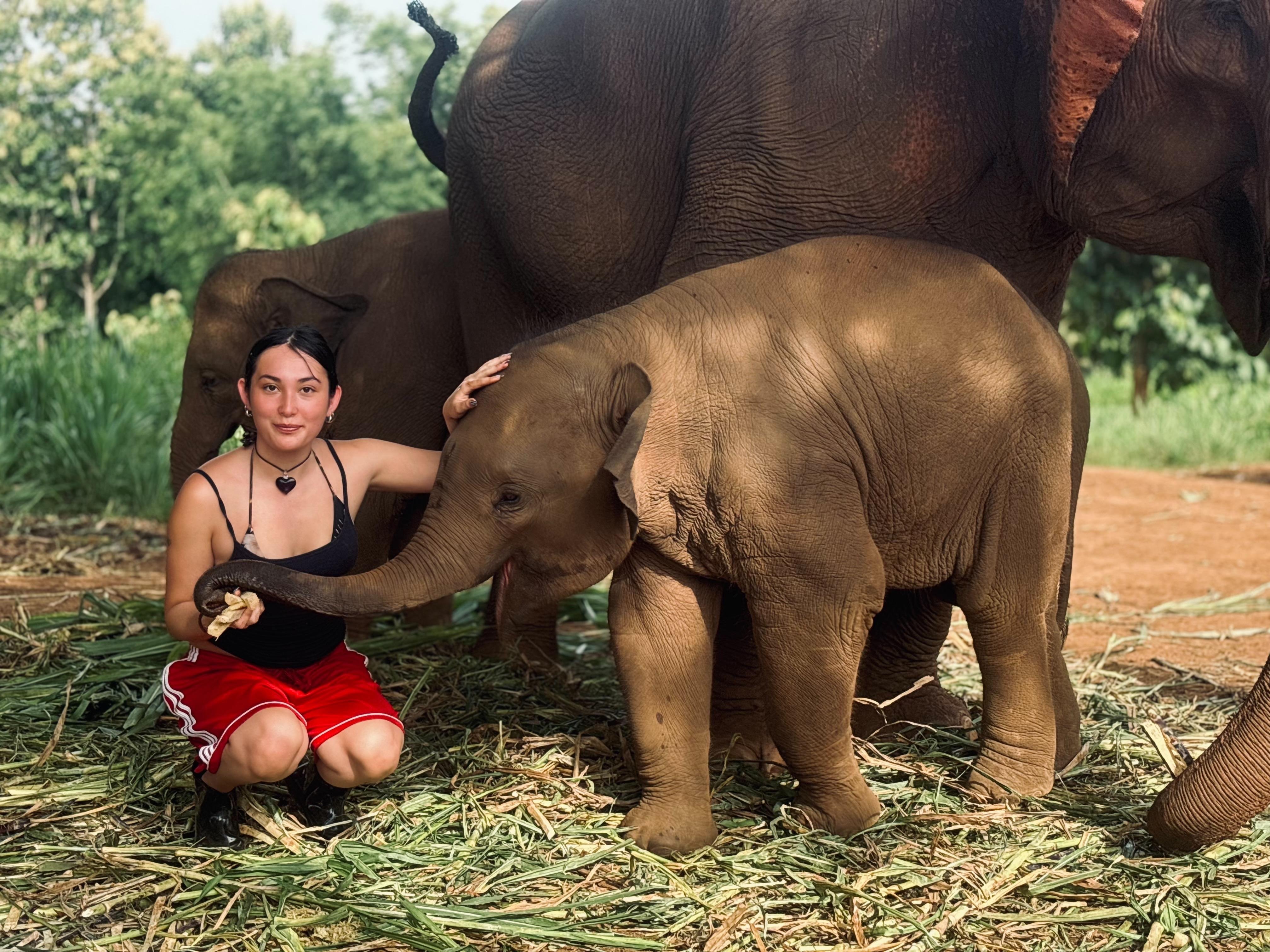 Elephant Sanctuary and Cooking Class — image 23