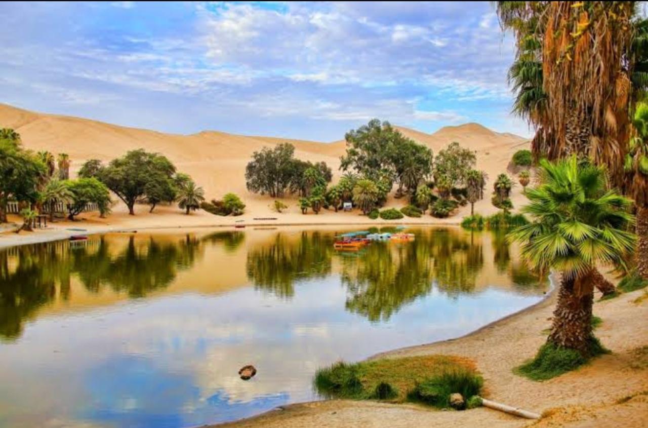 Excursión de un día a Paracas y Huacachina: vida silvestre, aventura en el desierto y cata de vinos