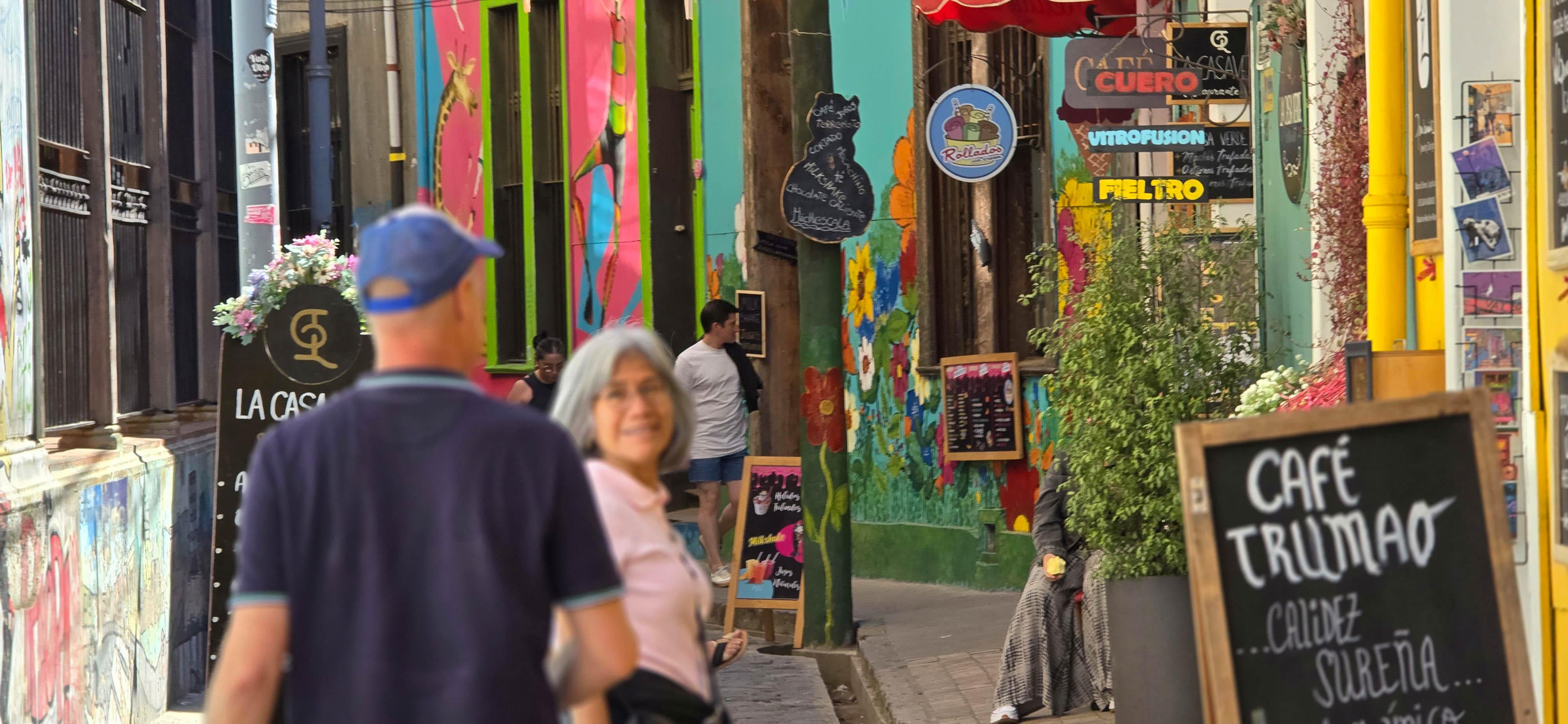 Valparaíso wine tour, the Casablanca Valley and Valparaíso's hills — image 58