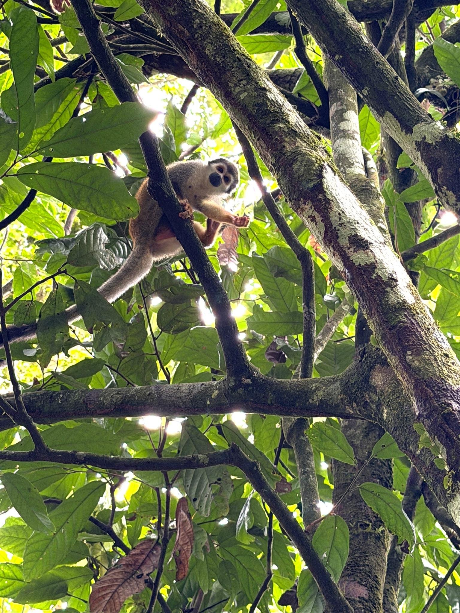 3-Day Amazon Jungle Expedition from Tena – All Inclusive