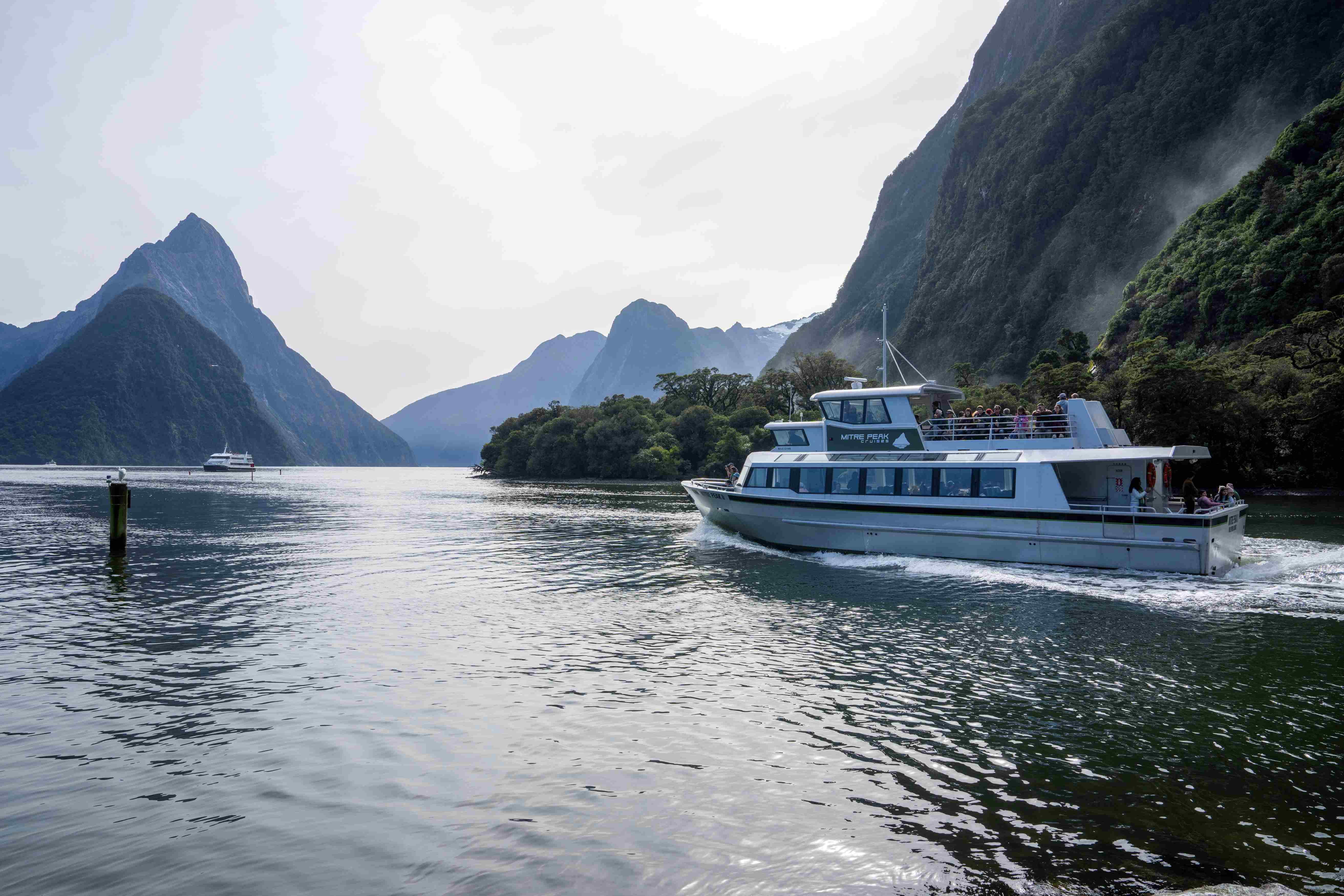Milford Sound tour photo — image 6