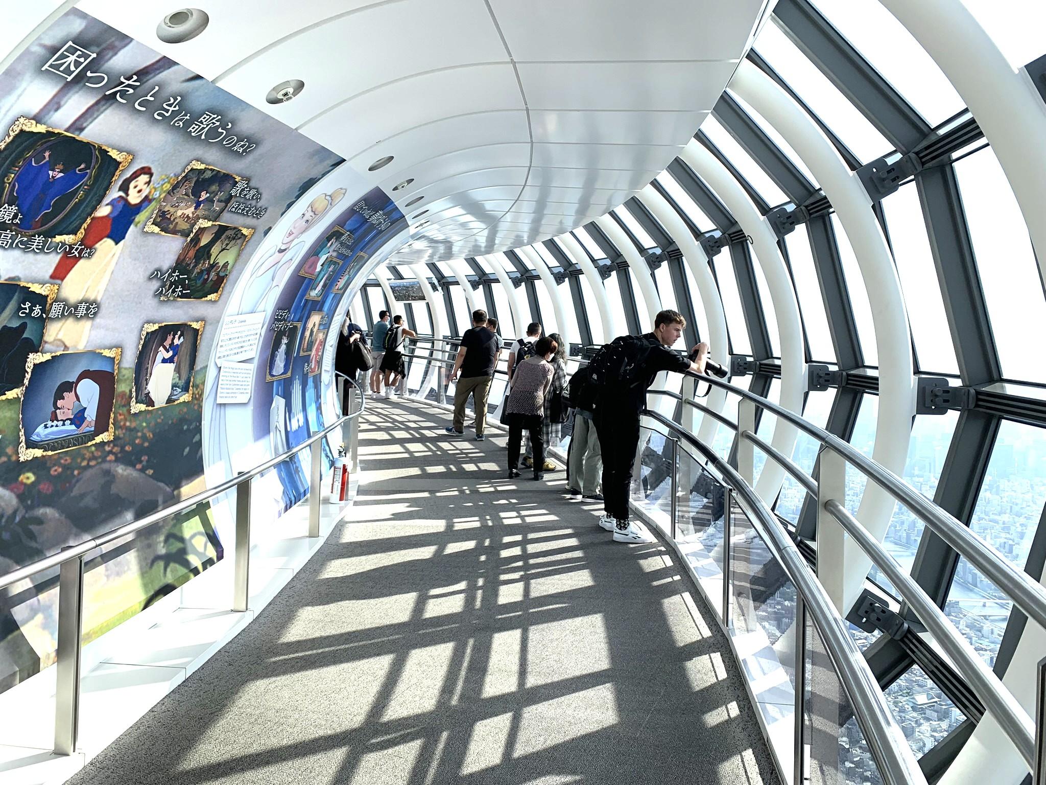 Asakusa History Walk & Tokyo Skytree Ascent
