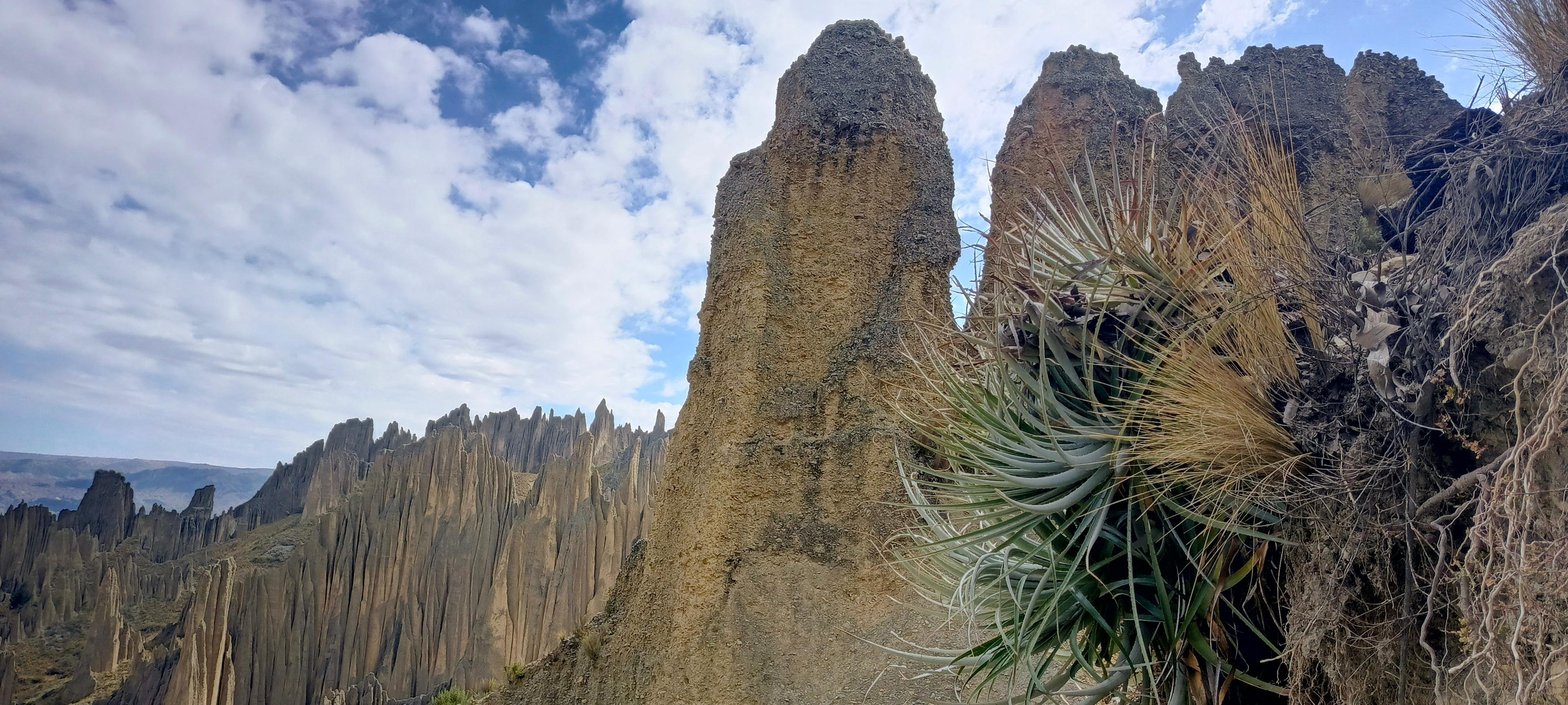 Aventure d'une demi-journée : Valle de las Animas, Vallée de la Lune et Killi Killi