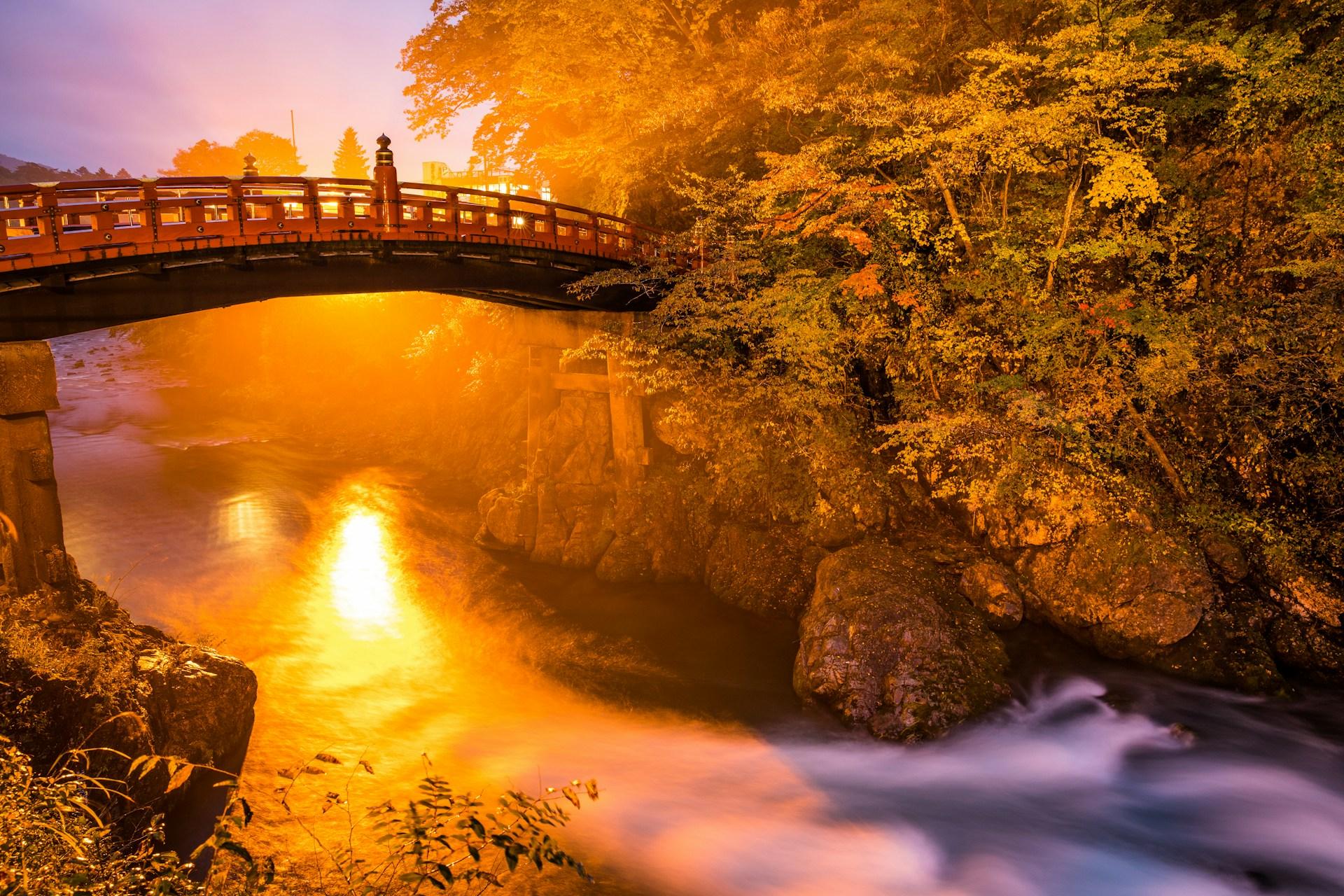 Tokyo to Nikko: Private Luxury Day Trip to UNESCO World Heritage Sites