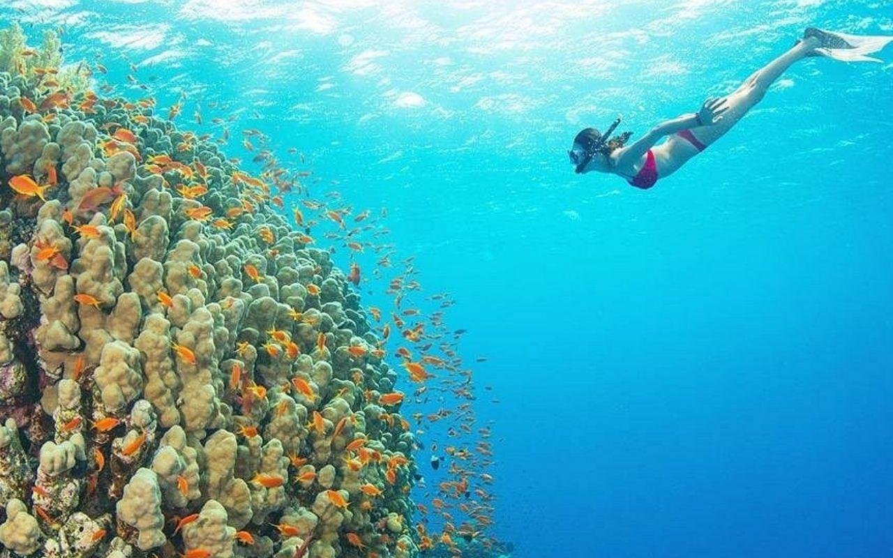 Tiran Island Snorkel & Dive Day Trip from Sharm El Sheikh