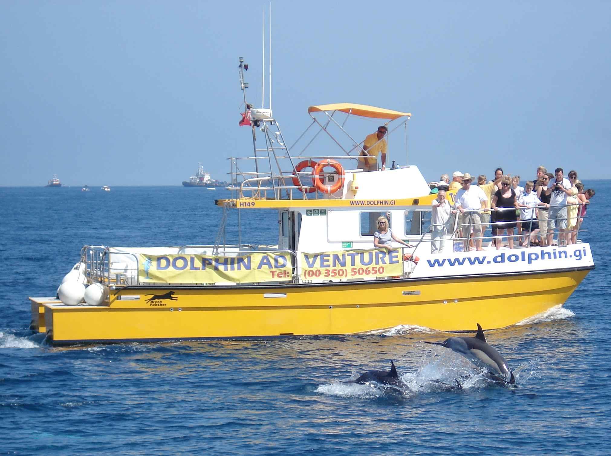 Gibraltar Dolphin Watching Catamaran Tour