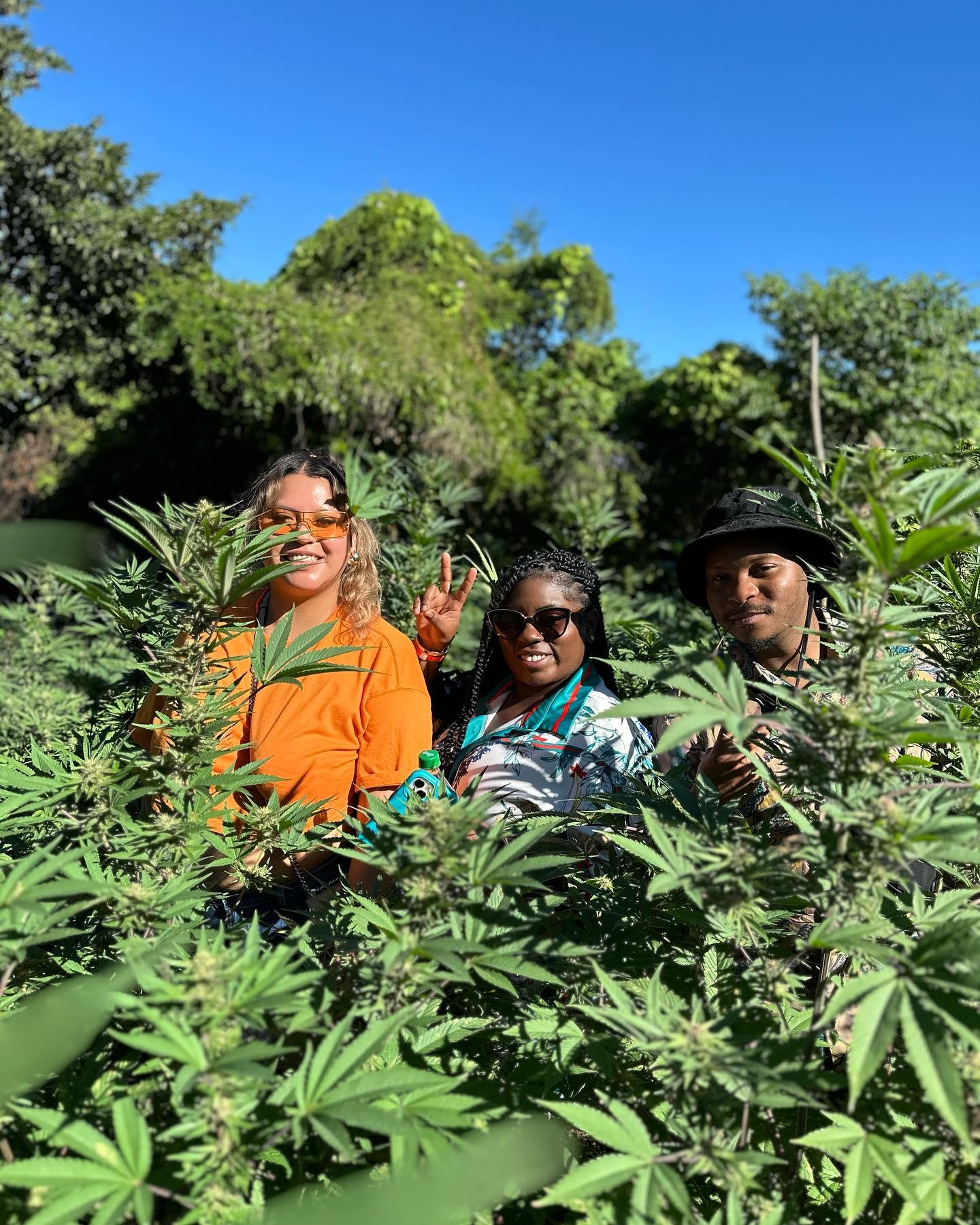 Negril Herb Farm, Mineral Spring, and Rick's Cafe Adventure