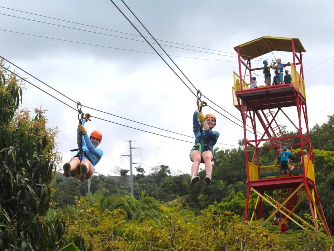 Rio Grande Rainforest Ziplining Adventure