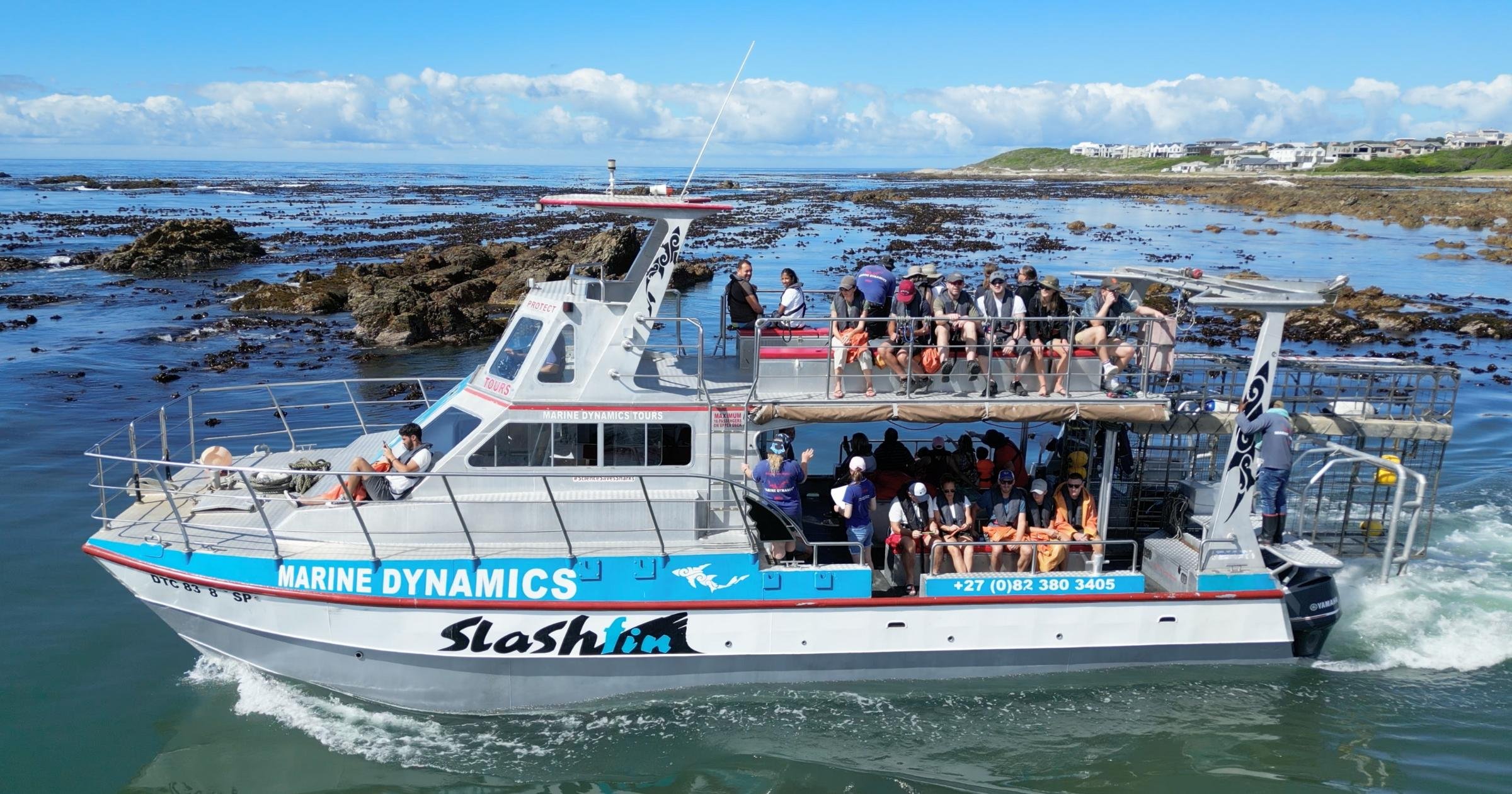 Gansbaai Eco Shark Cage Diving from Cape Town