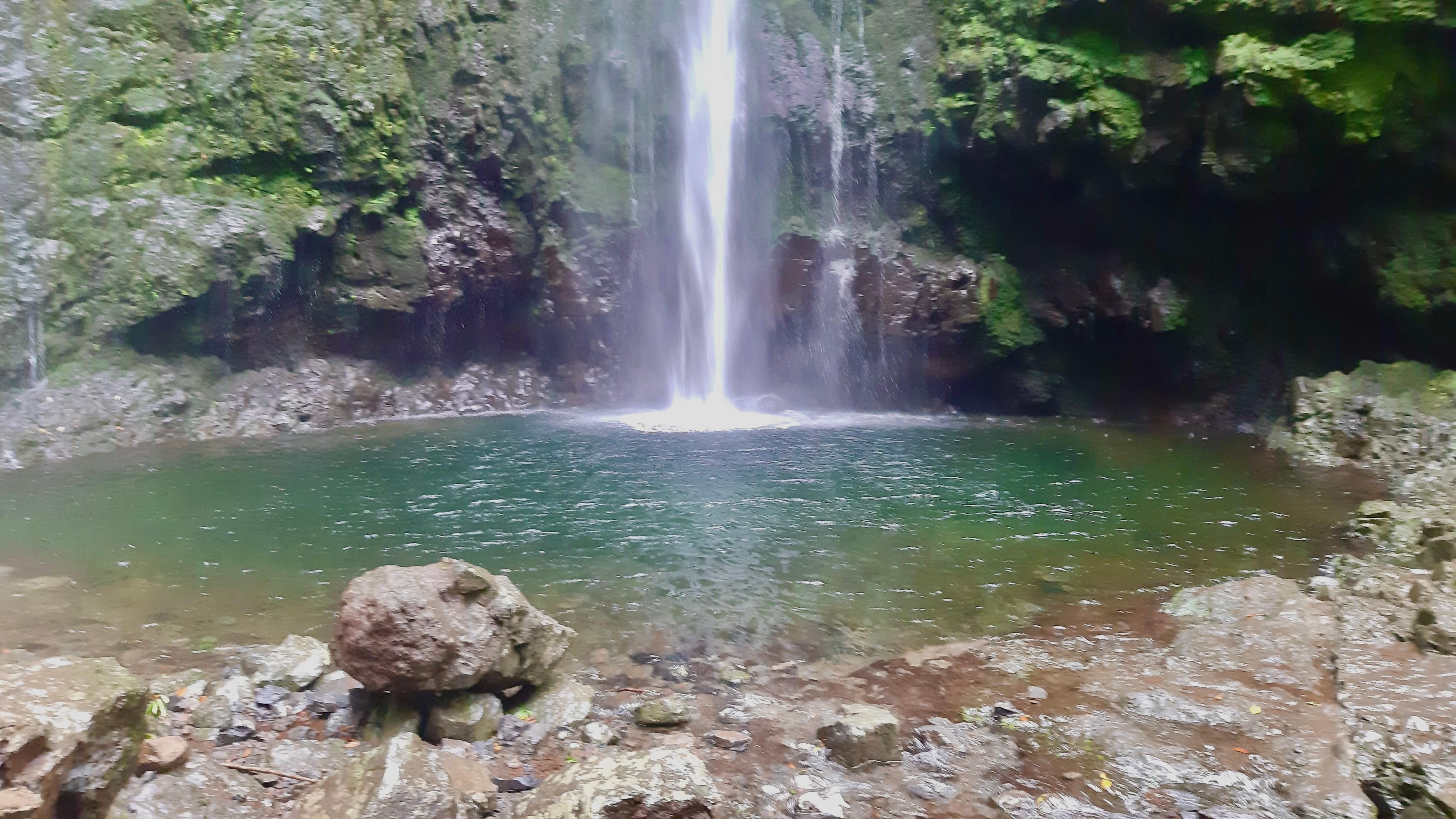 Jungle Fever: Caldeirão Verde Levada Trail & Santana